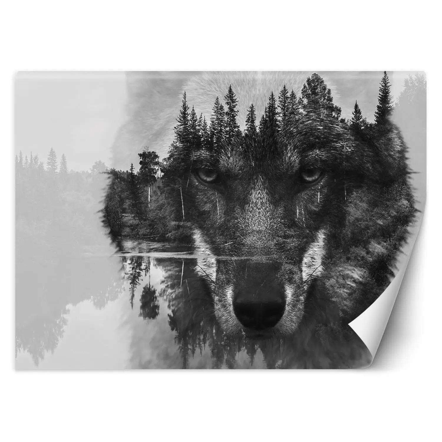 Fototapete, Wald Nebel Wolf im