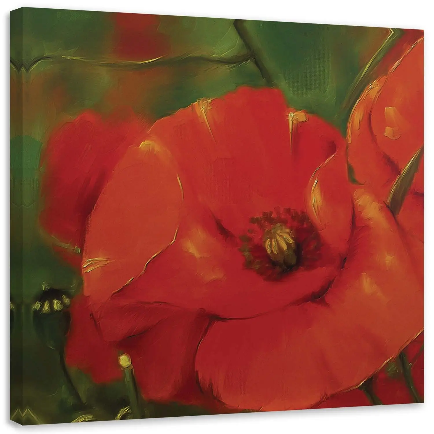 Wandbild Rote Mohnblumen Natur Pflanzen | Bilder