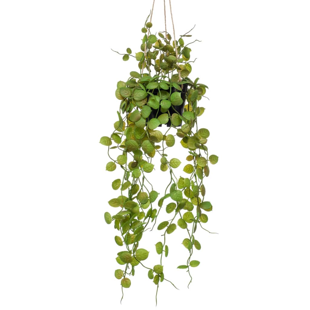 Sitemapcdatahttpsmodeinf Inetcomtuteur Plante Original