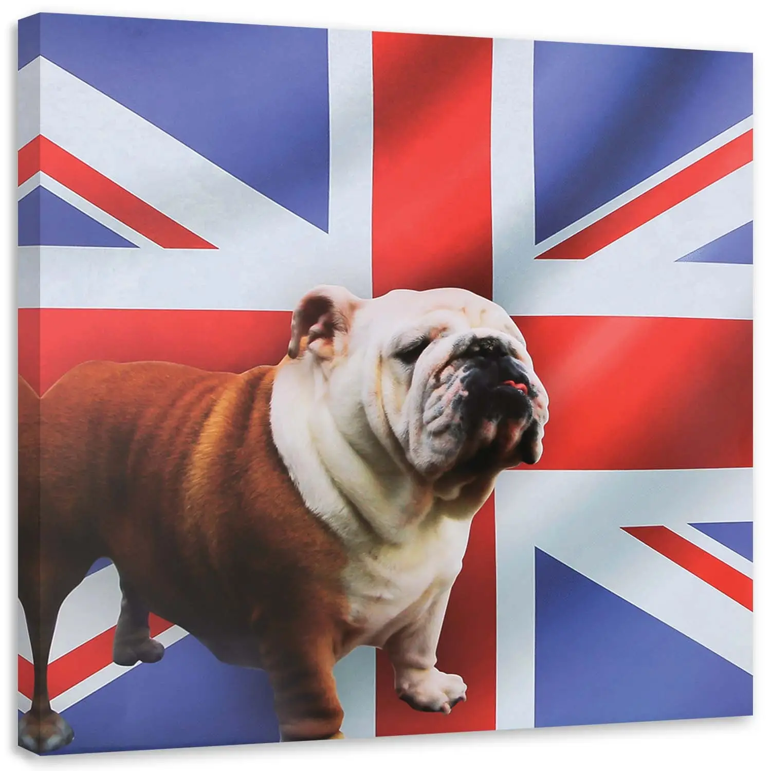 Wandbild Bulldogge Hund Englisch Flagge