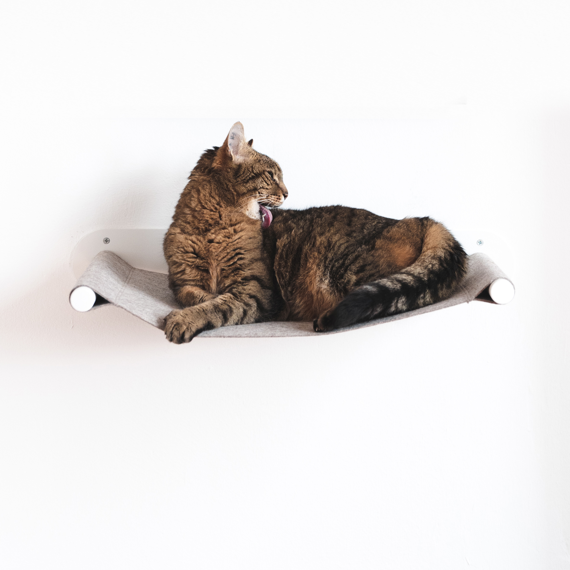 Katzen Wand-Hngematte SWING kaufen | home24