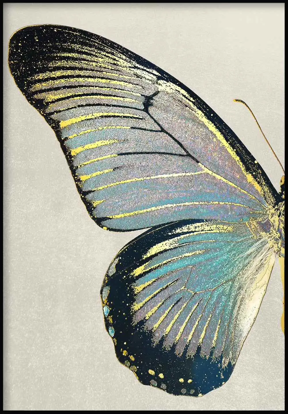 Schmetterling Links Poster T眉rkis