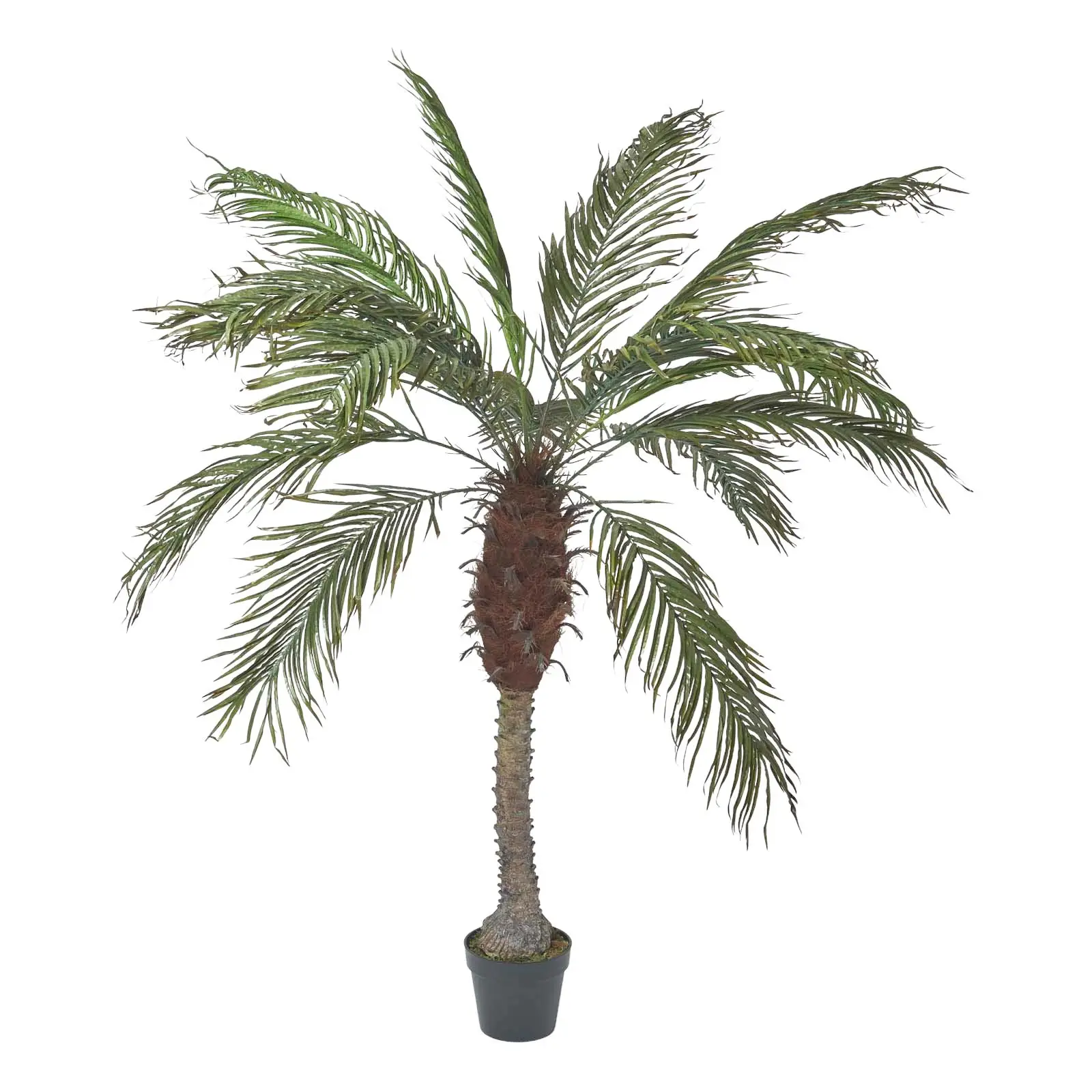 K眉nstliche Phoenix-Palme im Topf 160 cm | Kunstpflanzen