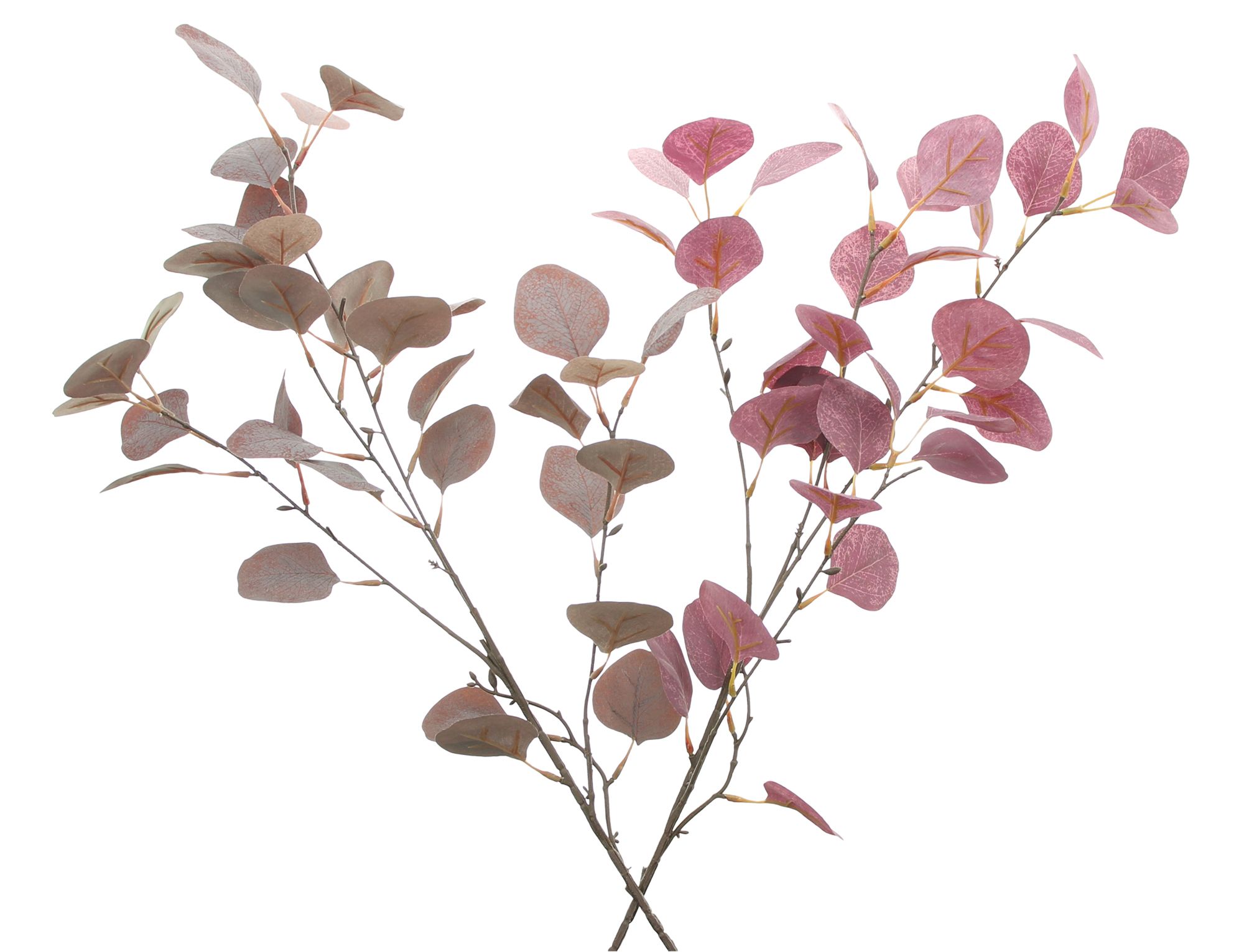 Eukalyptuszweig Mauve Set 2tlg Kaufen Home24 Eukalyptuszweig mauve set 2tlg kaufen home24