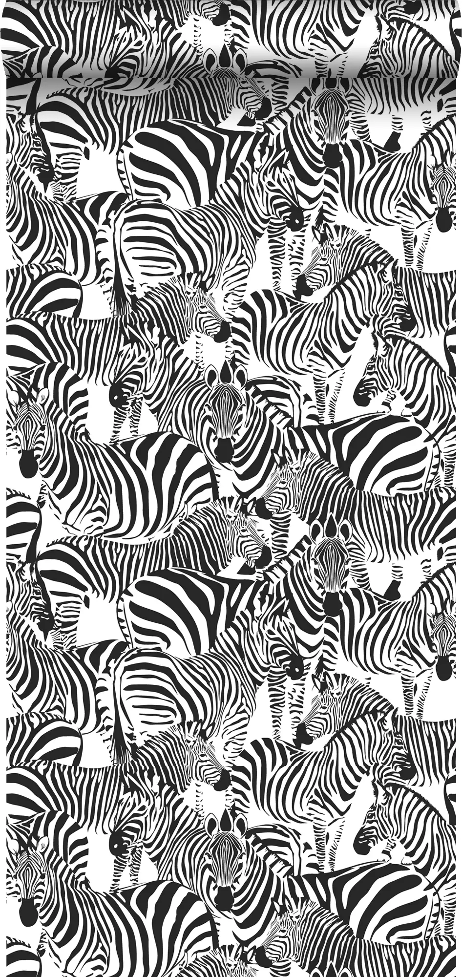Zebras Tapete