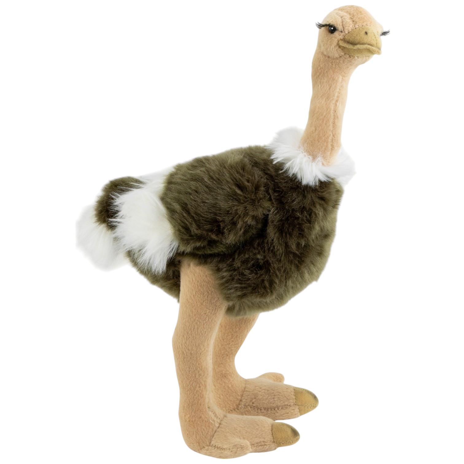Vogel Strauß Kaufen