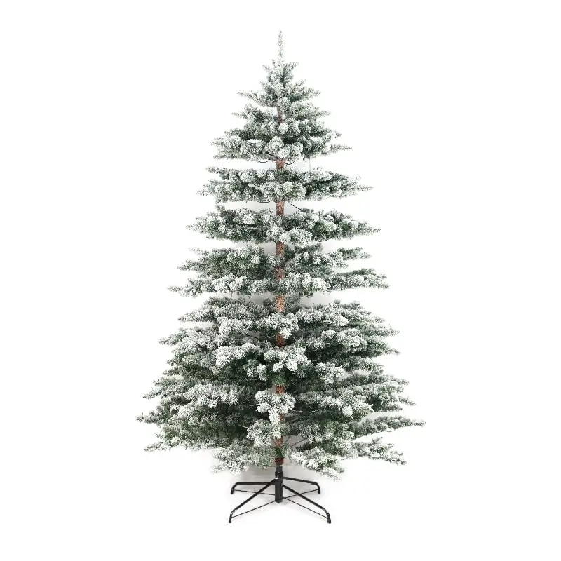 Weihnachtsbaum Purden
