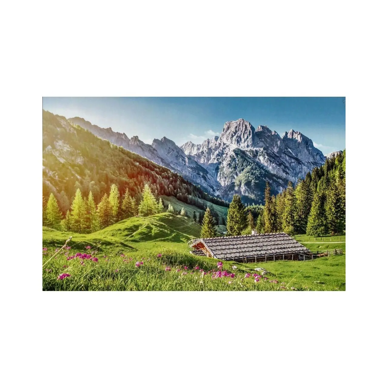 den 500 Teile Puzzle in Alpen Sommer