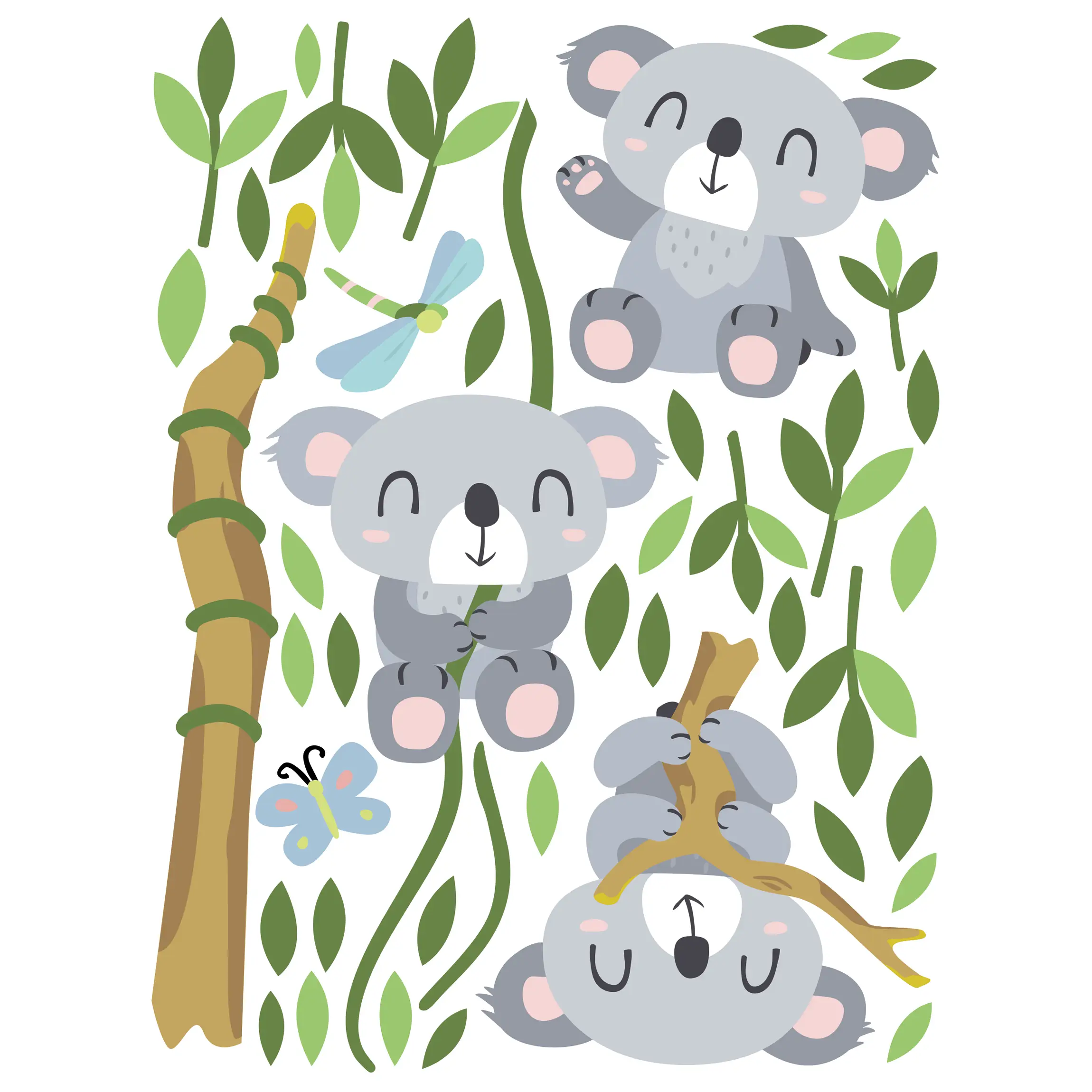 Set Koala