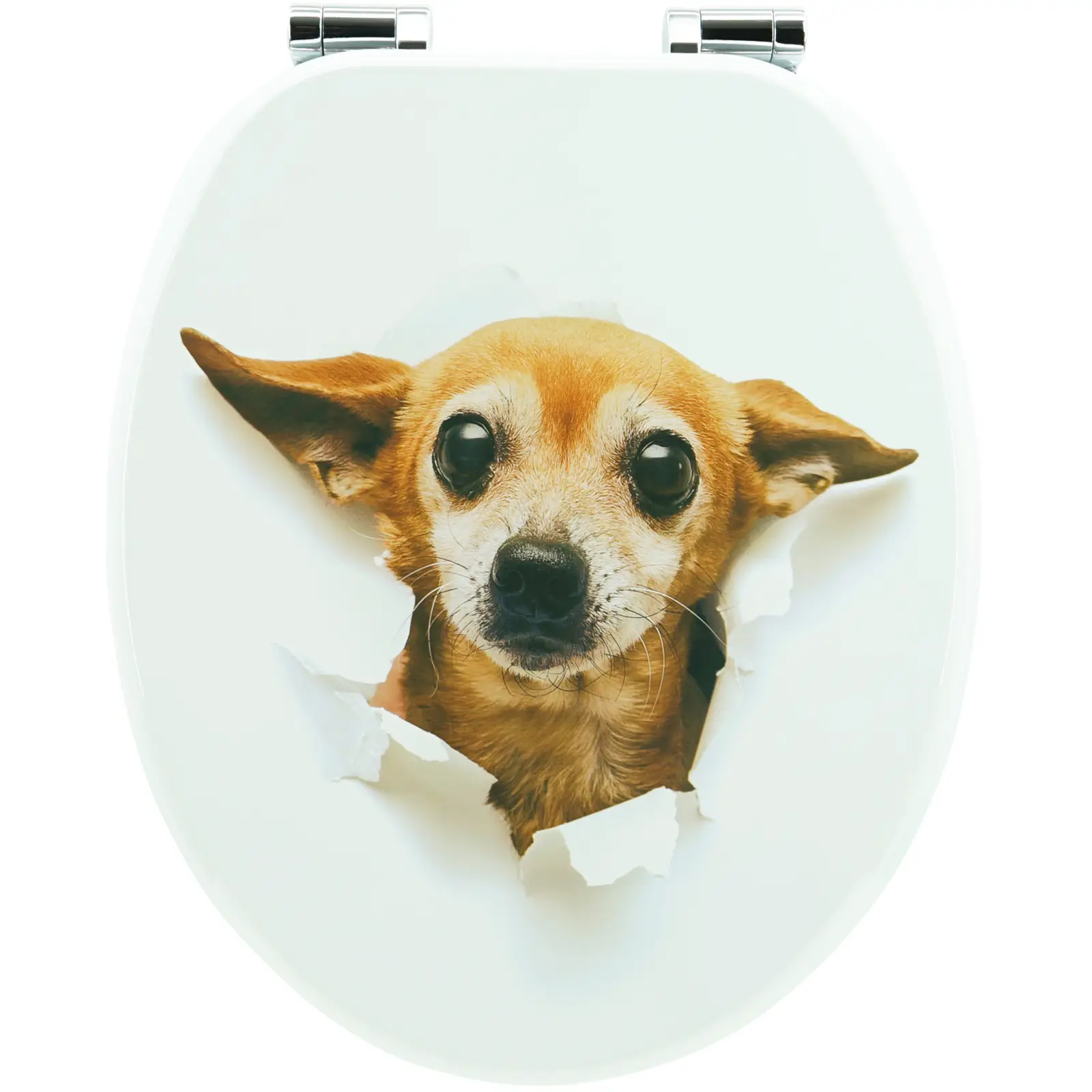 Premium Wc - Sitz Chihuahua