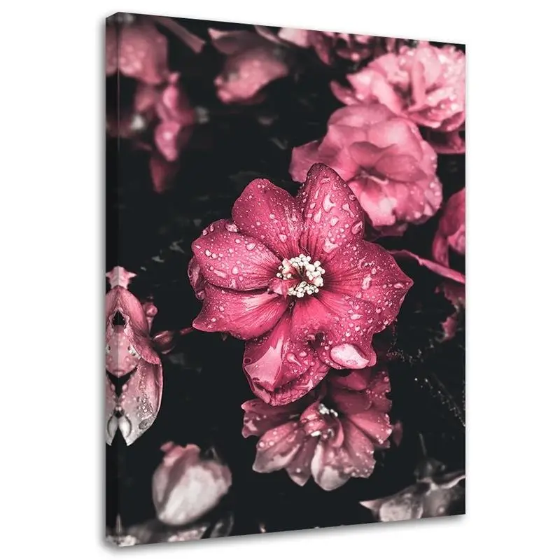 Blumen Leinwandbild Rosa