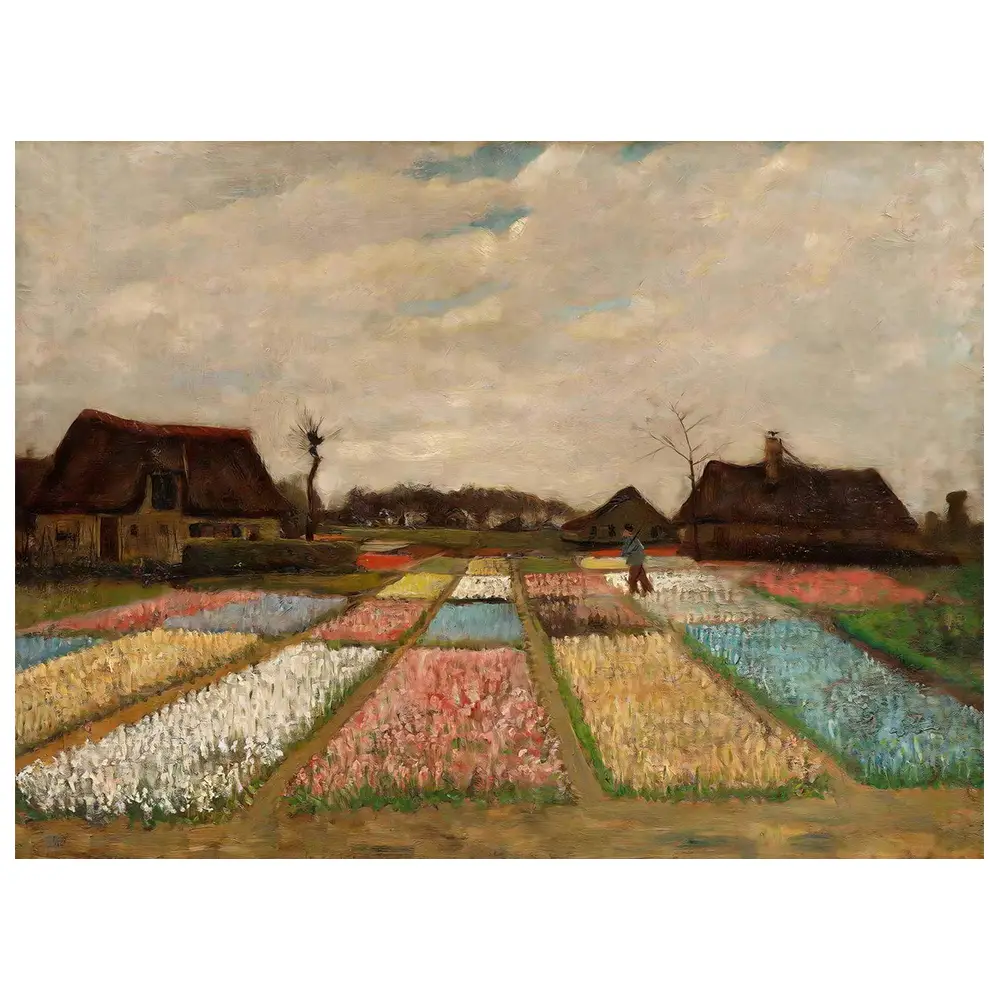Holland Blumenfelder in Leinwandbild