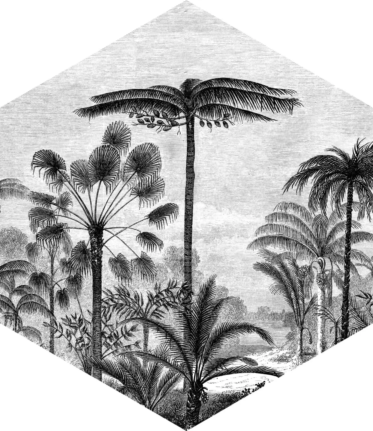 Wandtattoo tropische Landschaft mit Palm