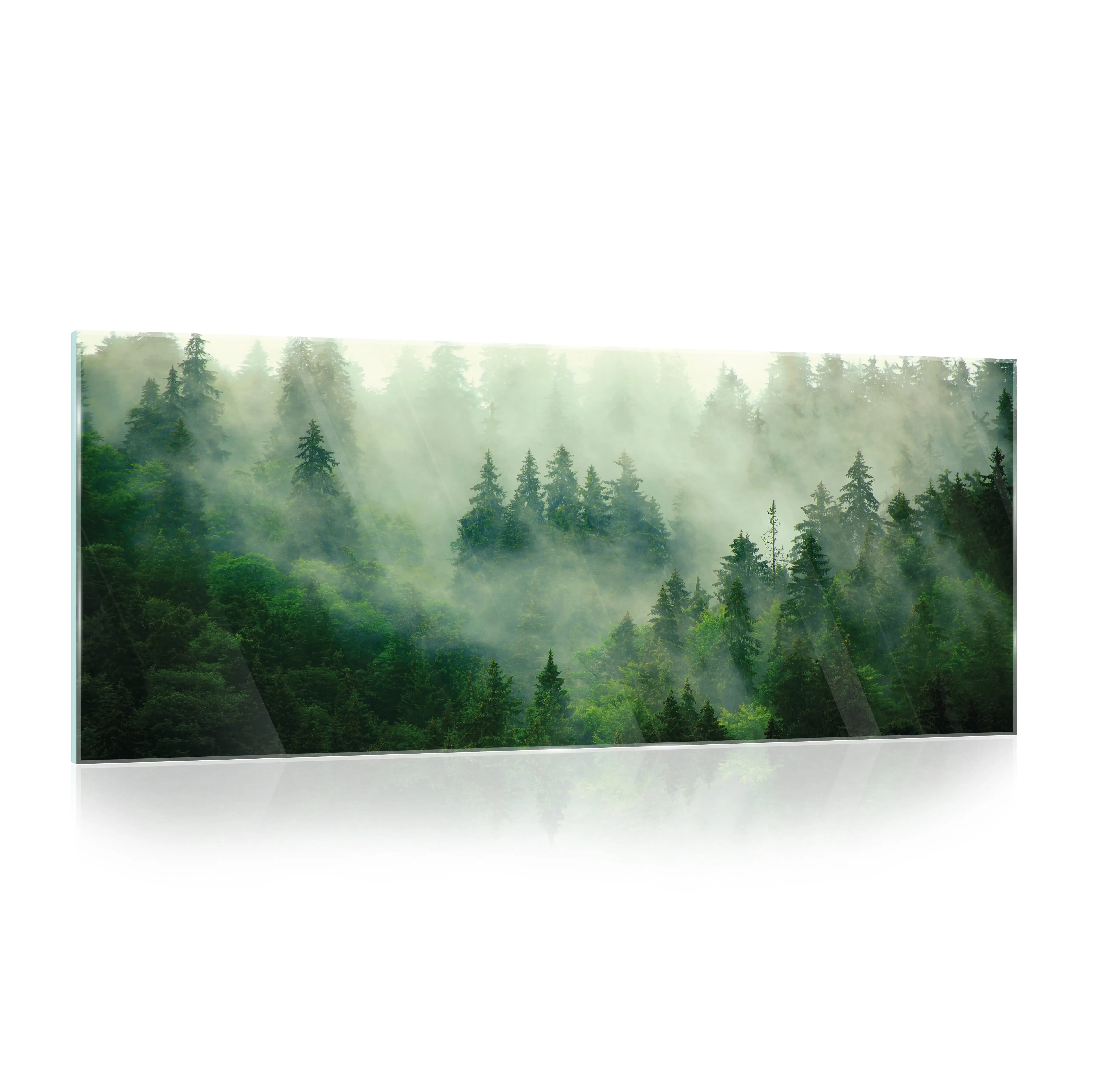 Glasbild Nebel Wohnzimmer Wald