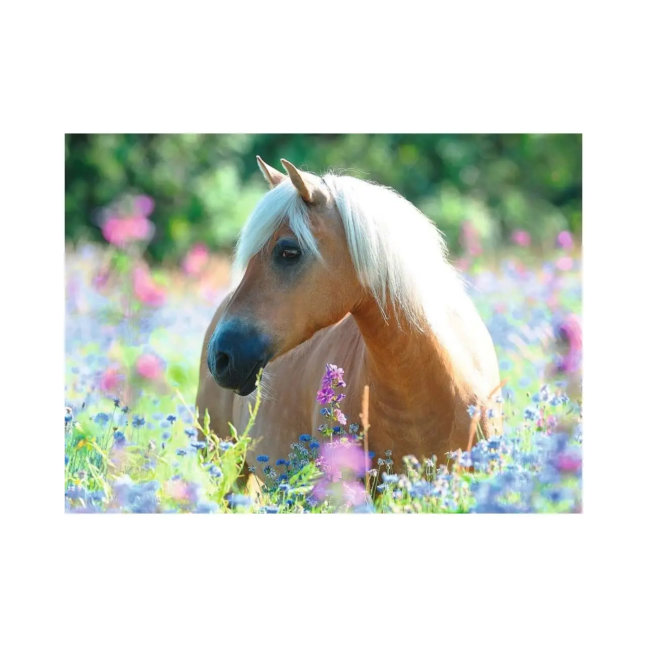 Puzzle Pferd auf Blumenfeld