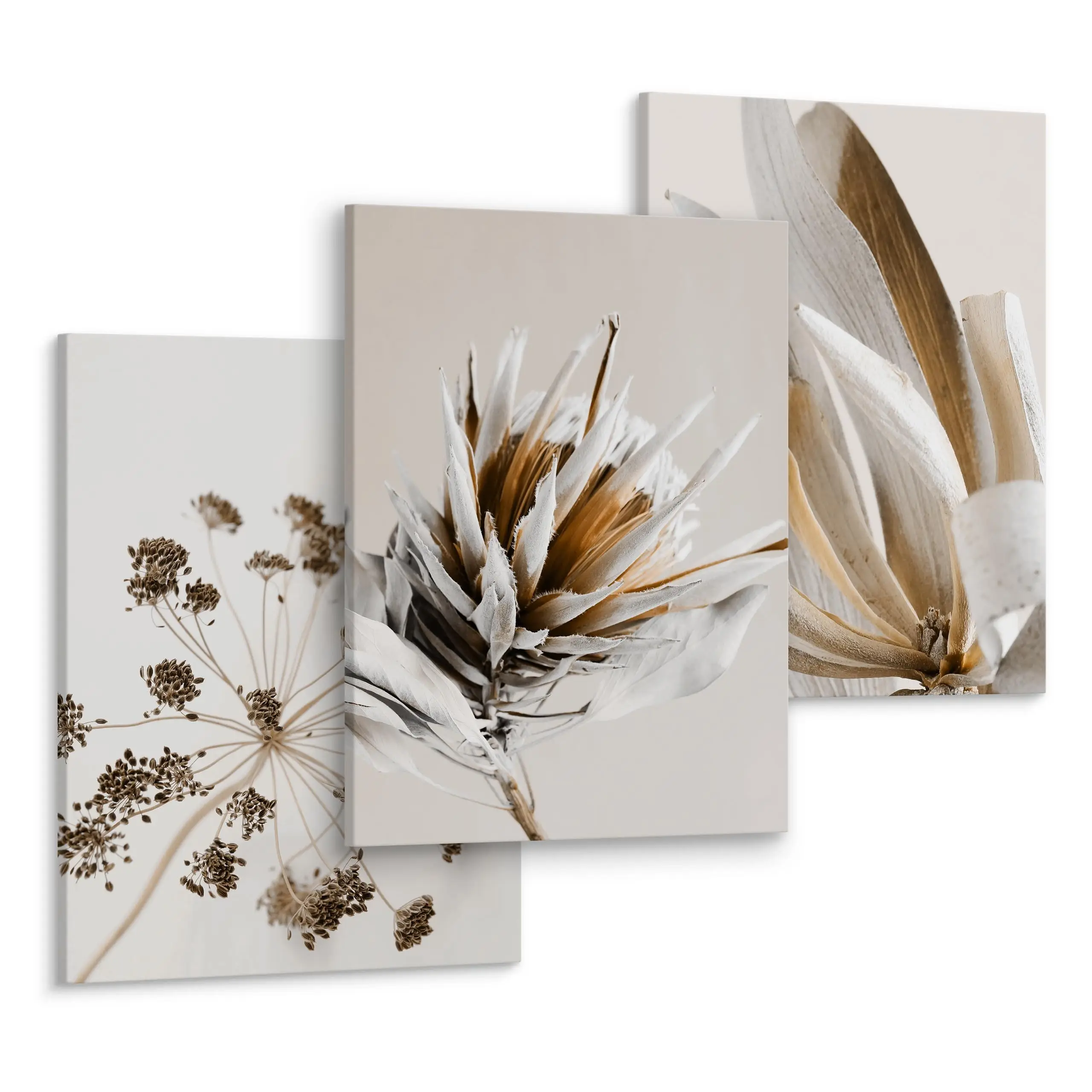 Pflanzen Blumen Leinwandbilder Natur Set