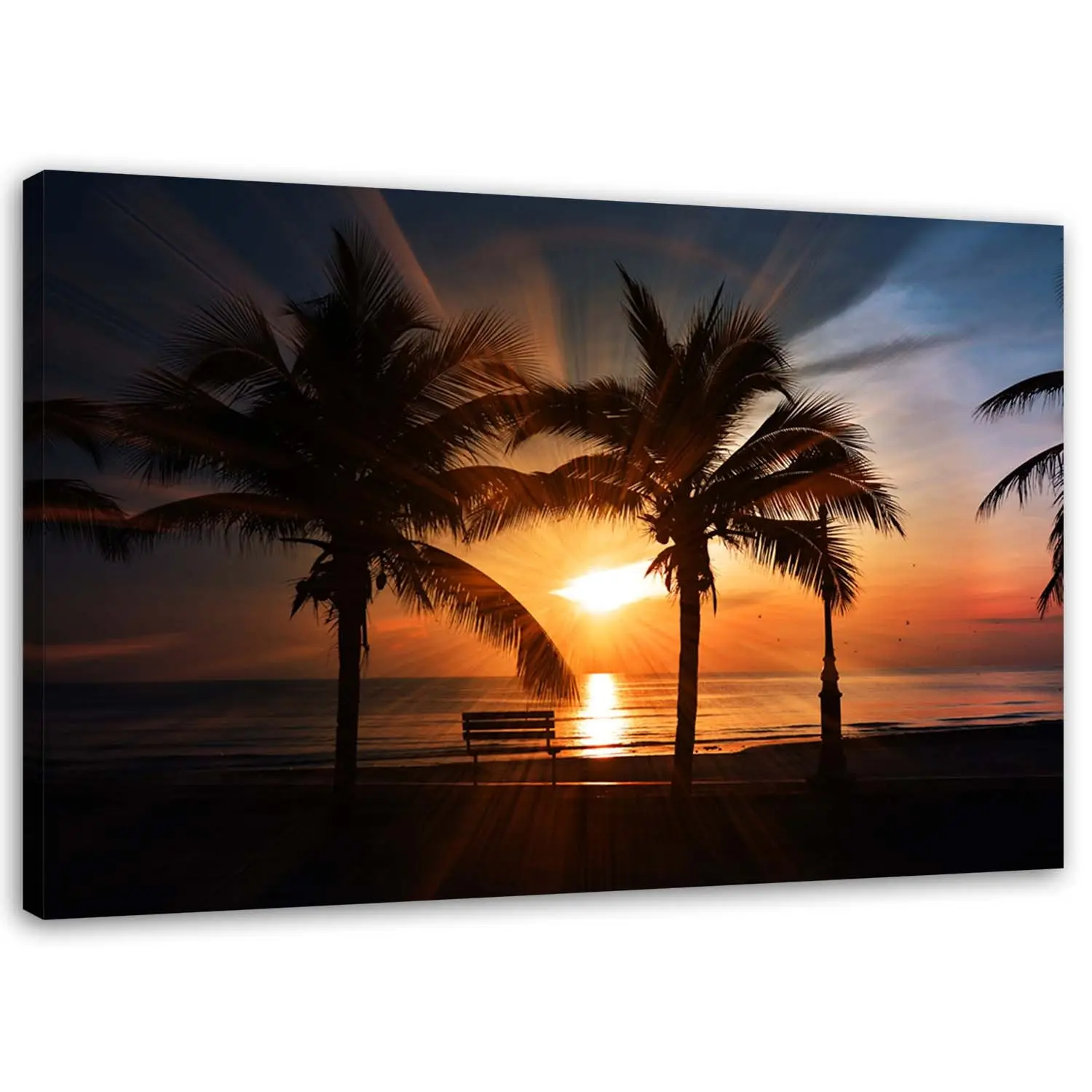 Meer Strand Palmen Sonnenuntergang Bild