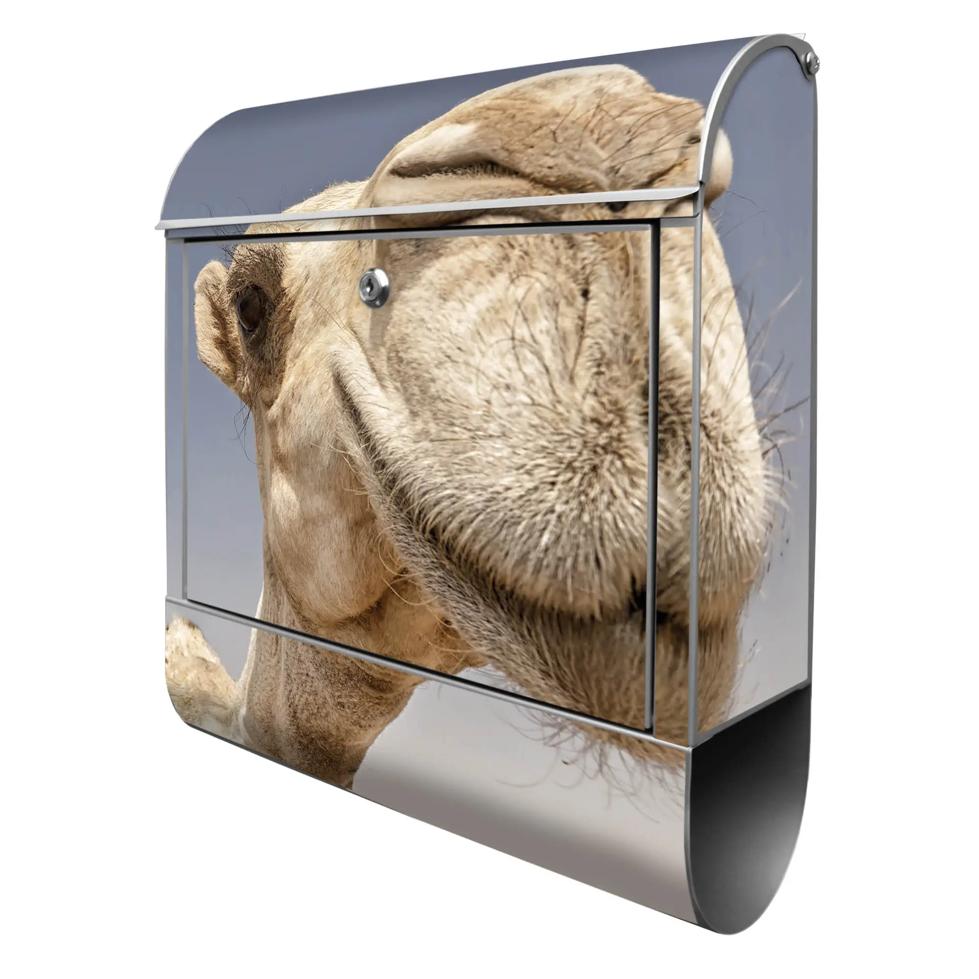 Briefkasten Stahl Kamele | Briefkästen