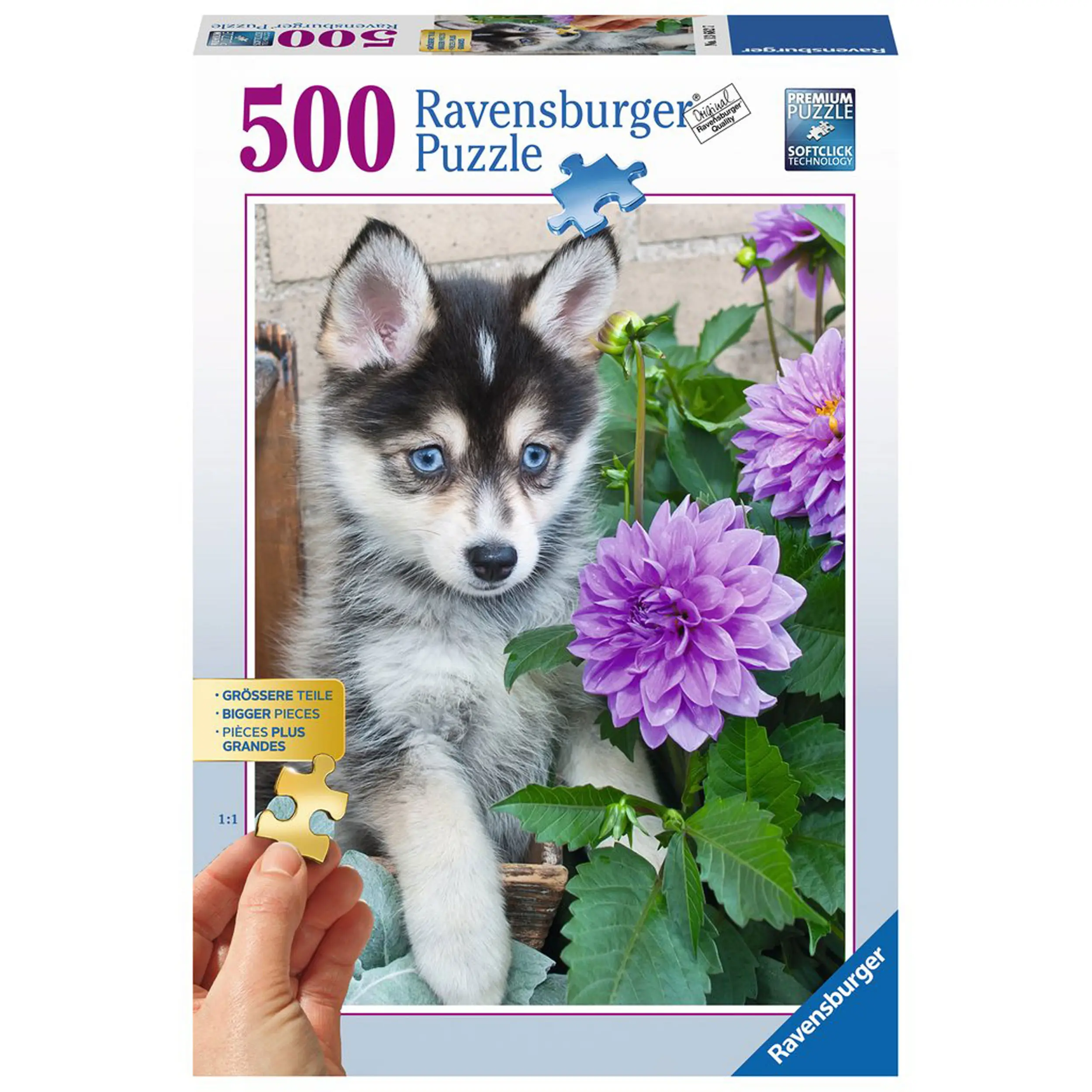 Putziger Puzzle Husky