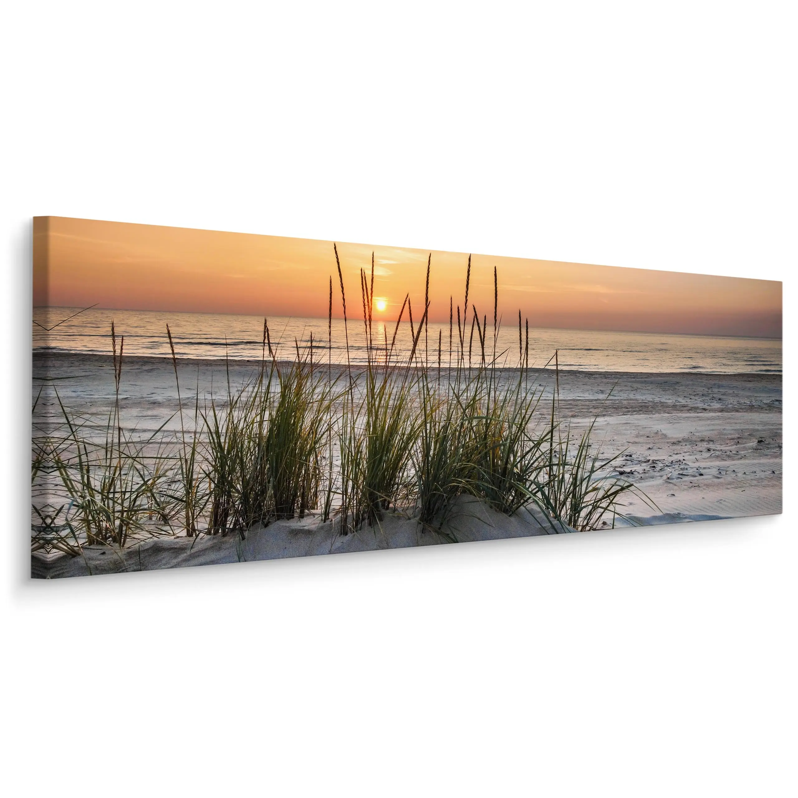 Panoramabild Strand Meer Sonne Natur 3D