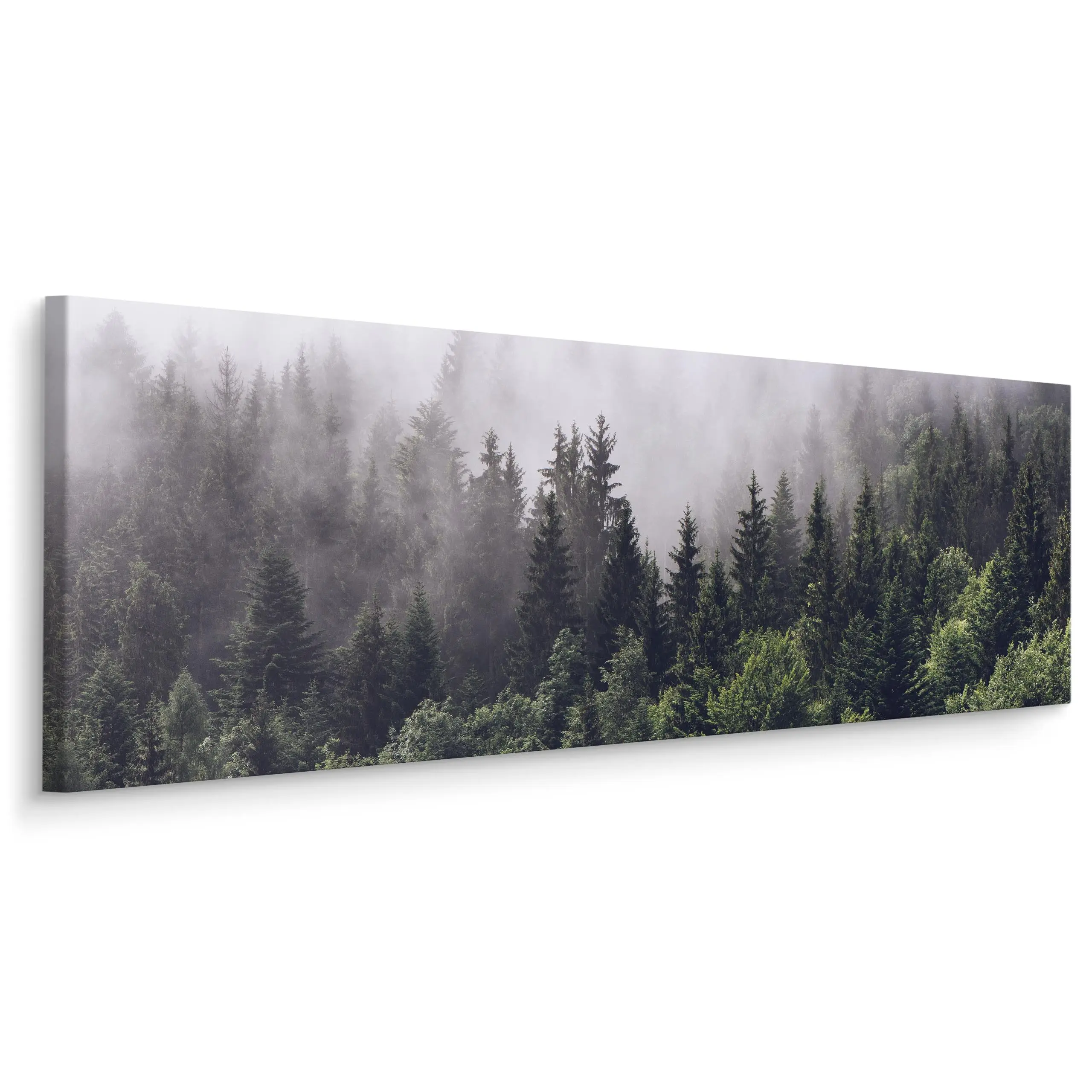 Wald Panoramabild 3D im Nebel B盲ume