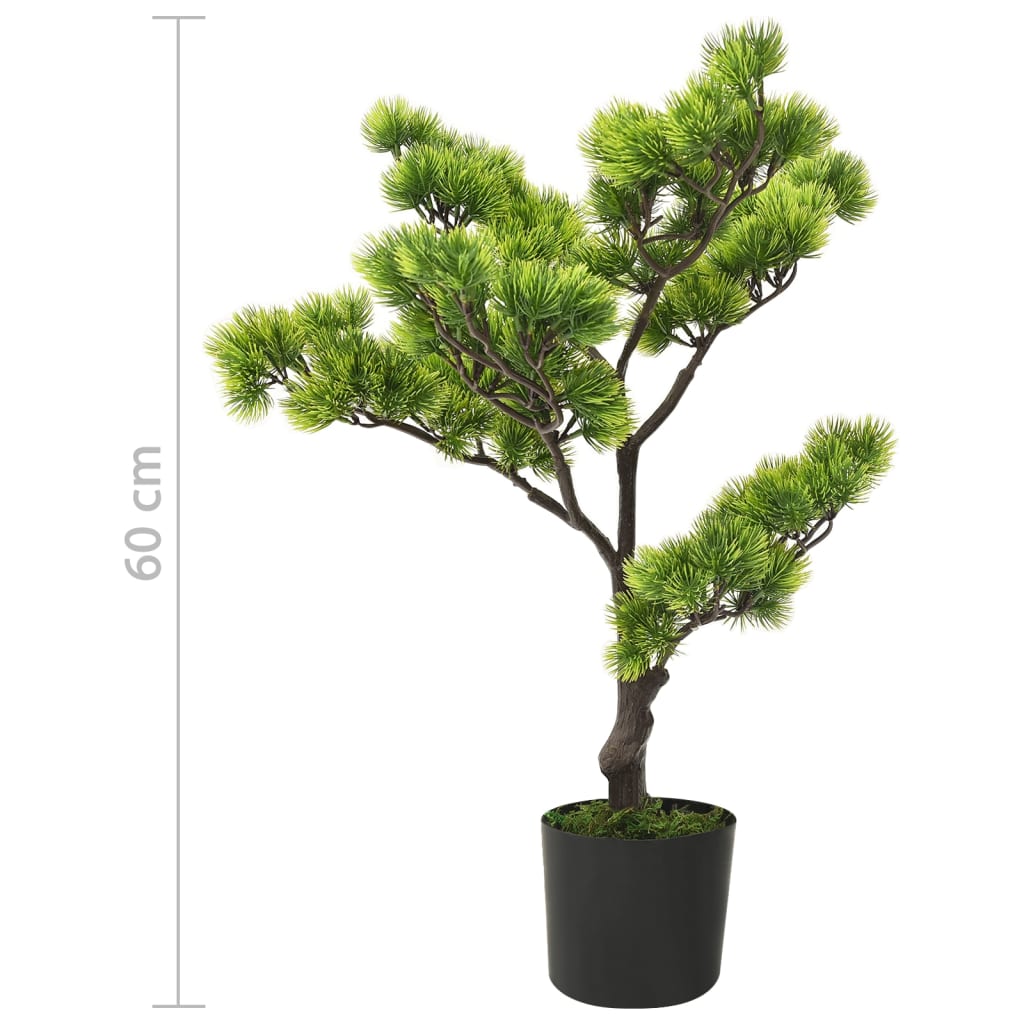 bonsai mit blüten kaufen Kaufen Sie lila Glyzinien-Bonsai-Samen zum Pflanzen Elegante mehrjährige  Blüten – Pure Asia Seeds main image 0