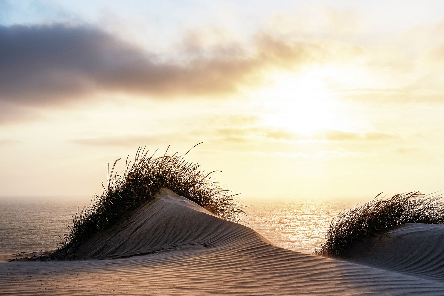 Tableau dune au vent Je commande ! home24