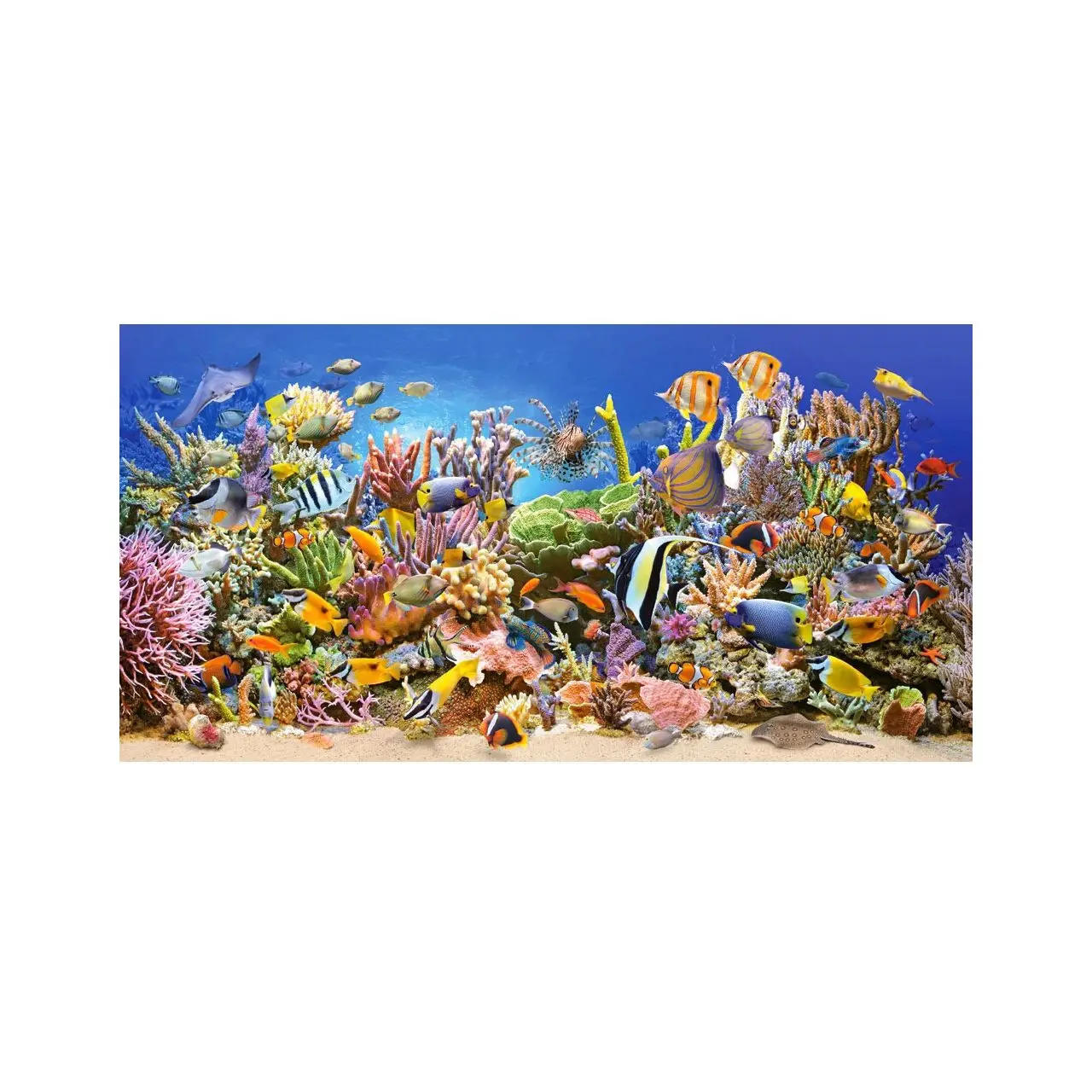 Unterwasserleben Puzzle 4000 Teile