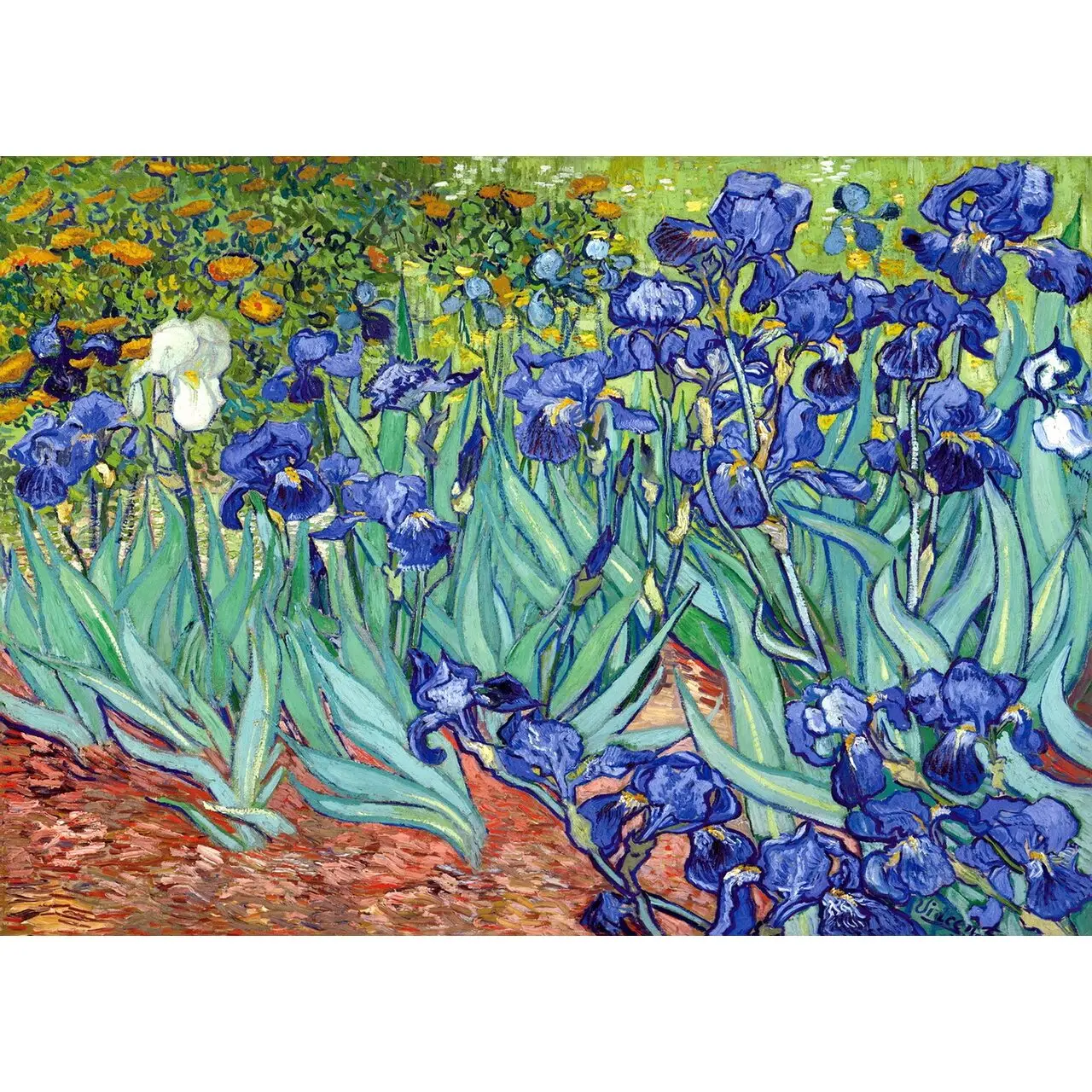 Puzzle Irises 99