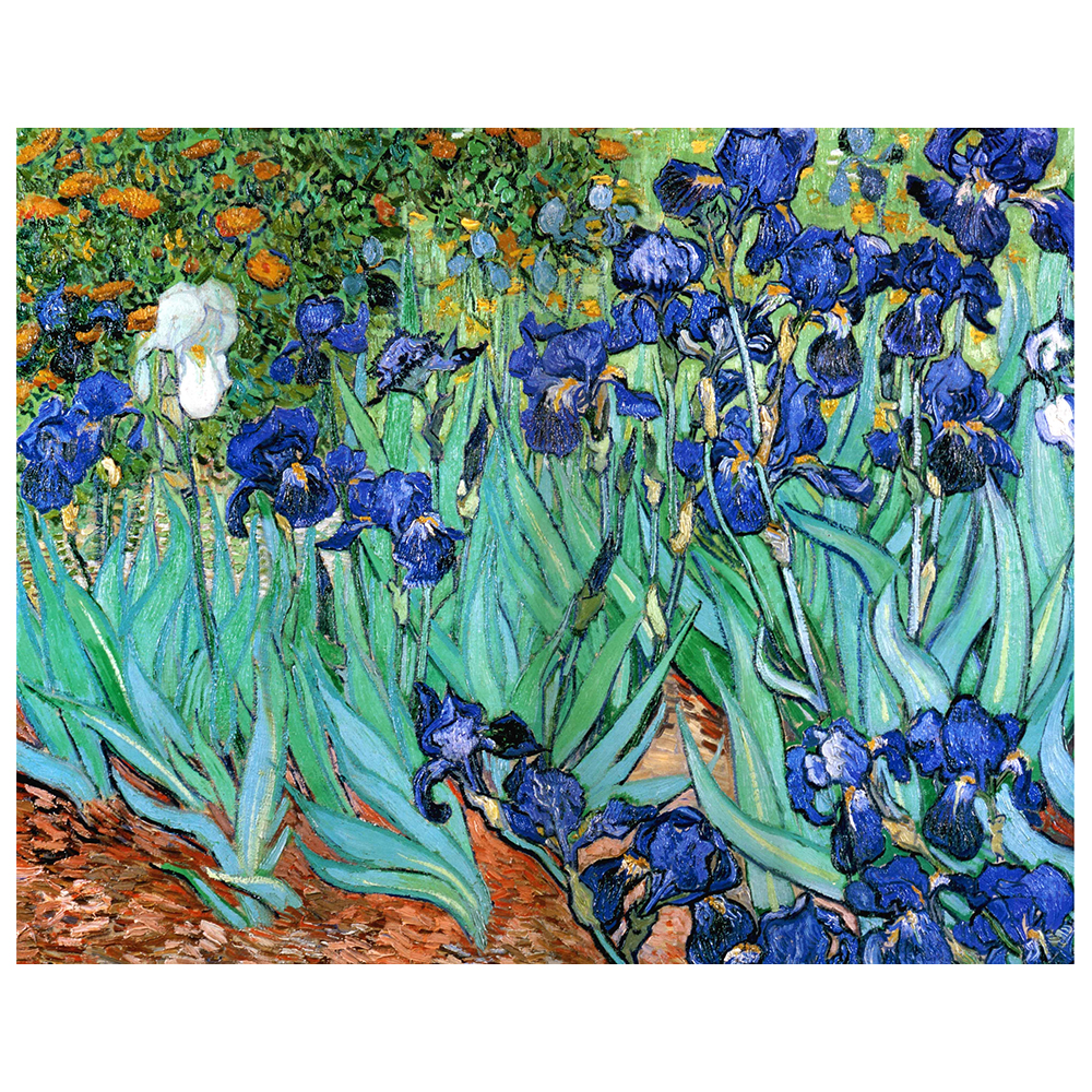 Tableau iris de van gogh outlet