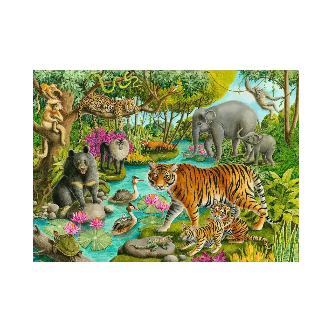 Puzzle Wald in Indien 60 Teile