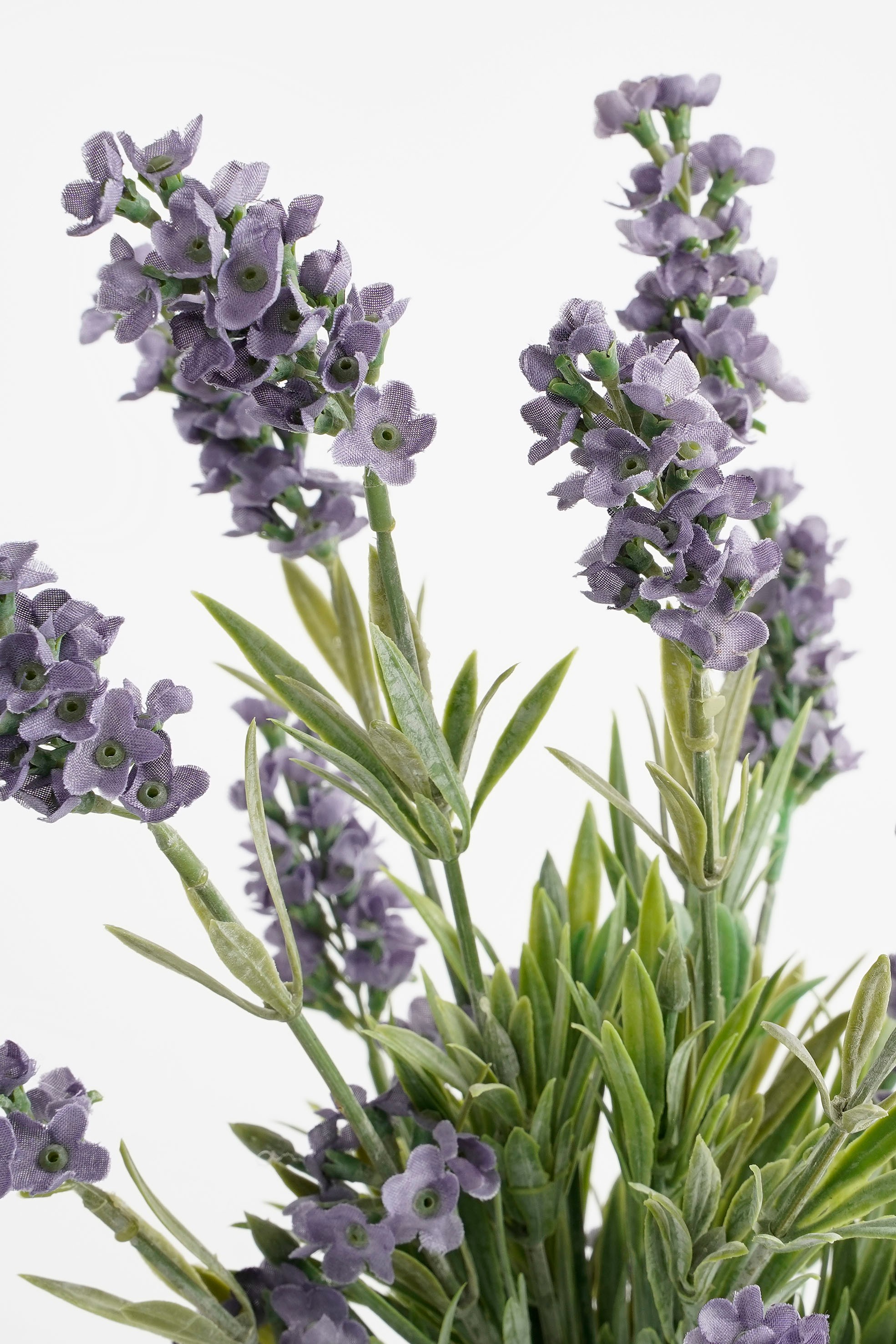 Kunstpflanze Lavender kaufen | home24