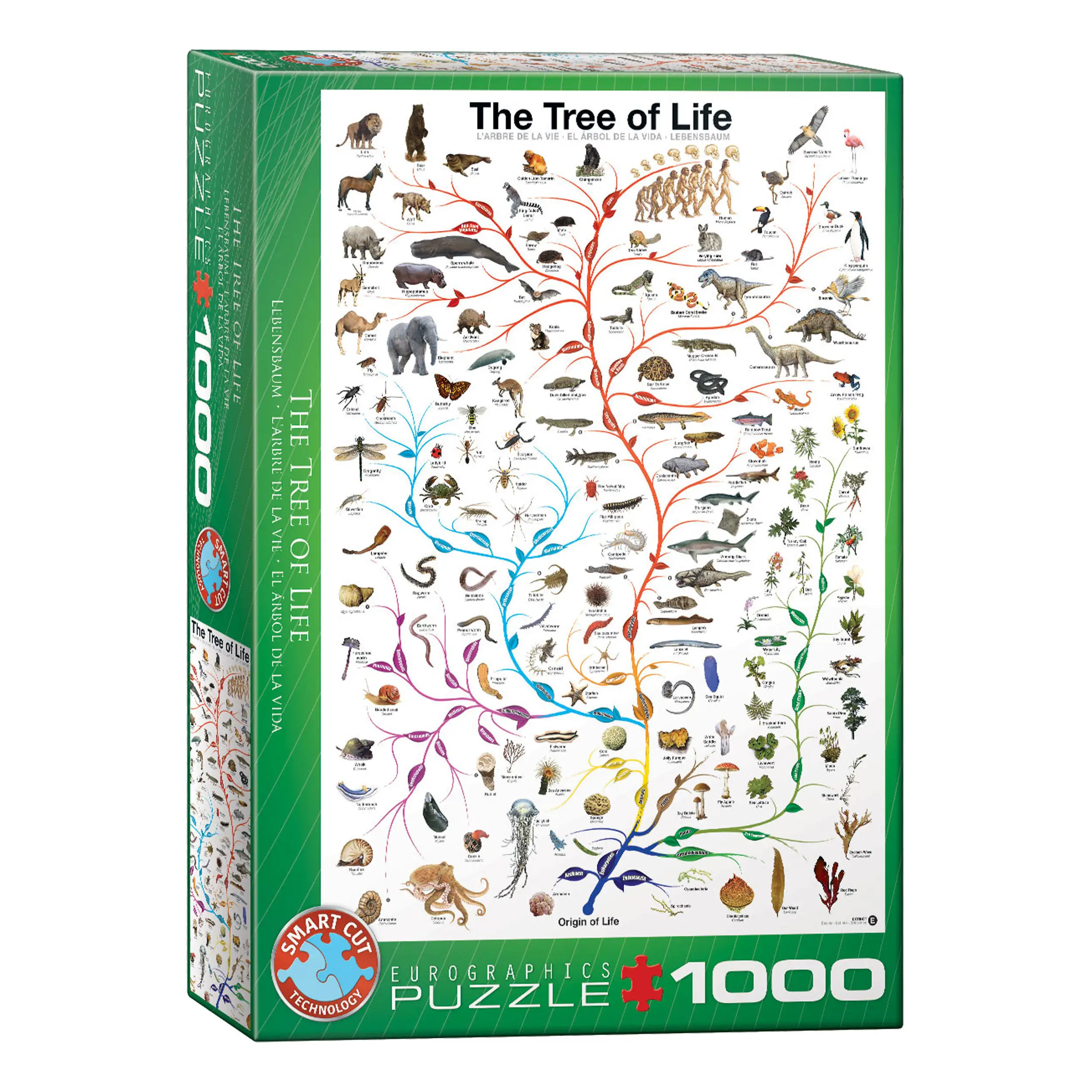 Evolution Die Baum Der Puzzle