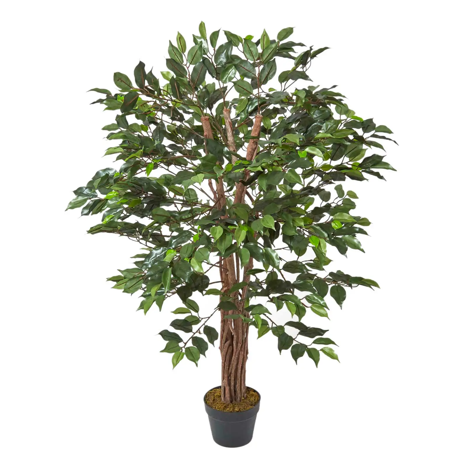 Kunstbaum Ficus Benjamini gr眉n 120 cm