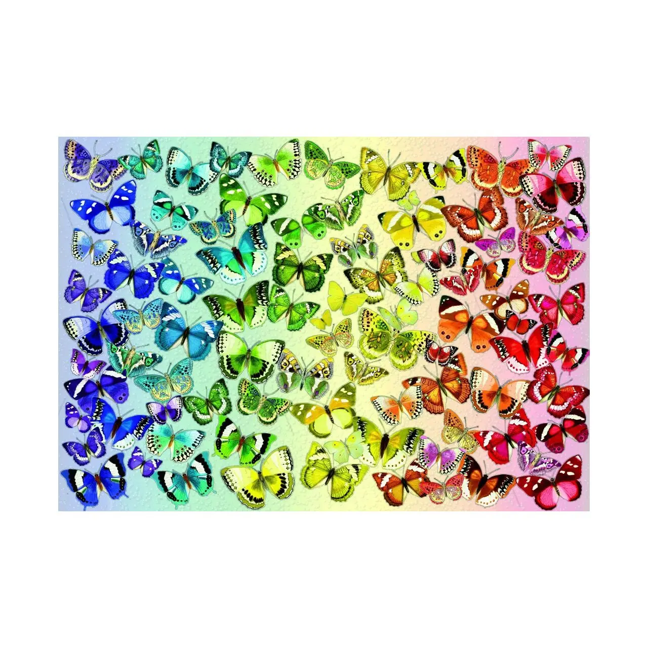 Puzzle Schmetterlinge