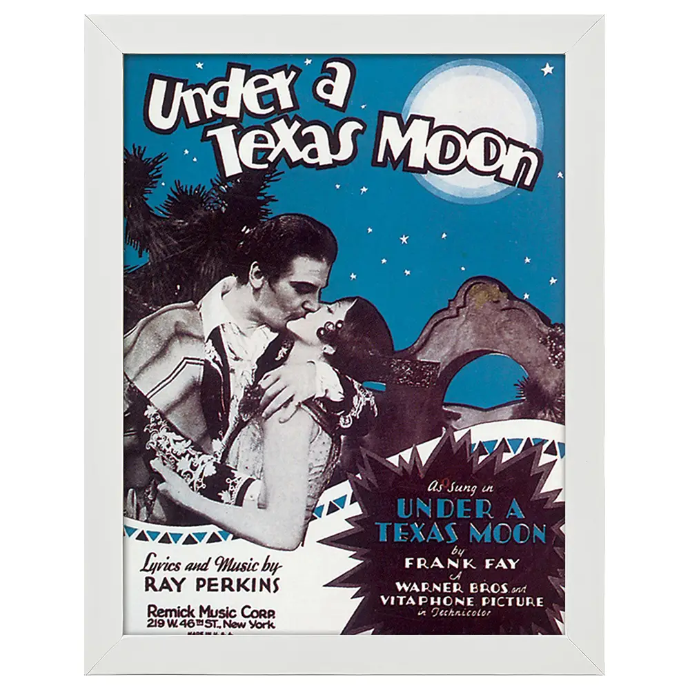 Bilderrahmen Poster Moon Under A Texas