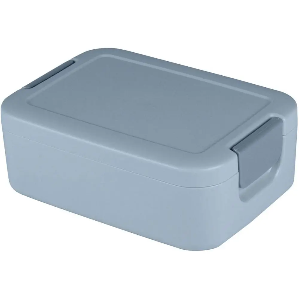 Lunchbox mit Bento-Fach \