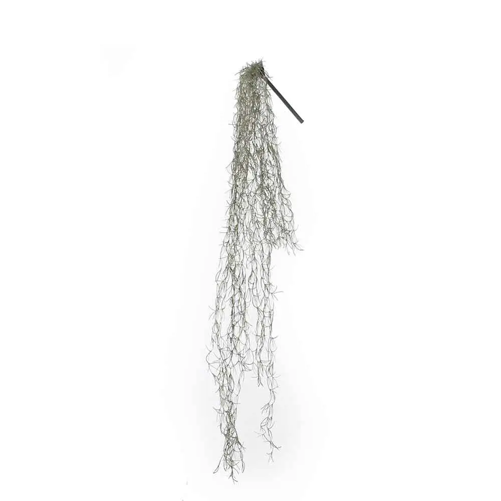 K眉nstliche Pflanze Tillandsia | Kunstpflanzen