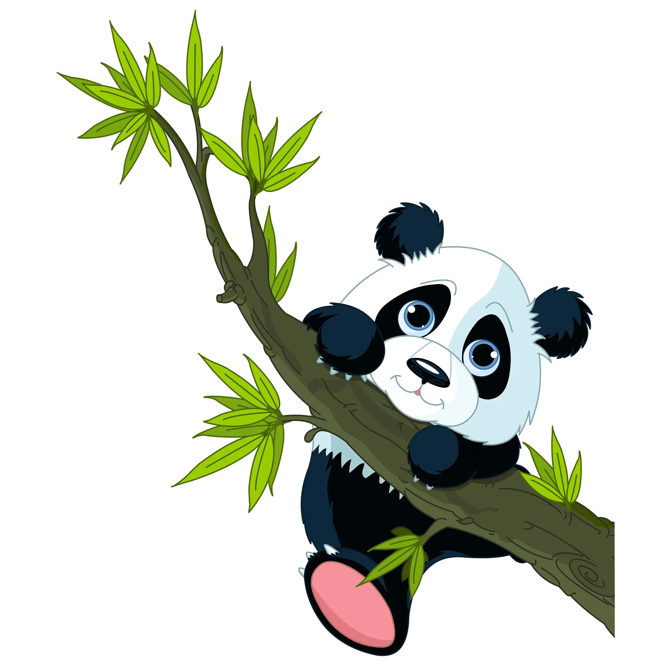 Panda Kletternder