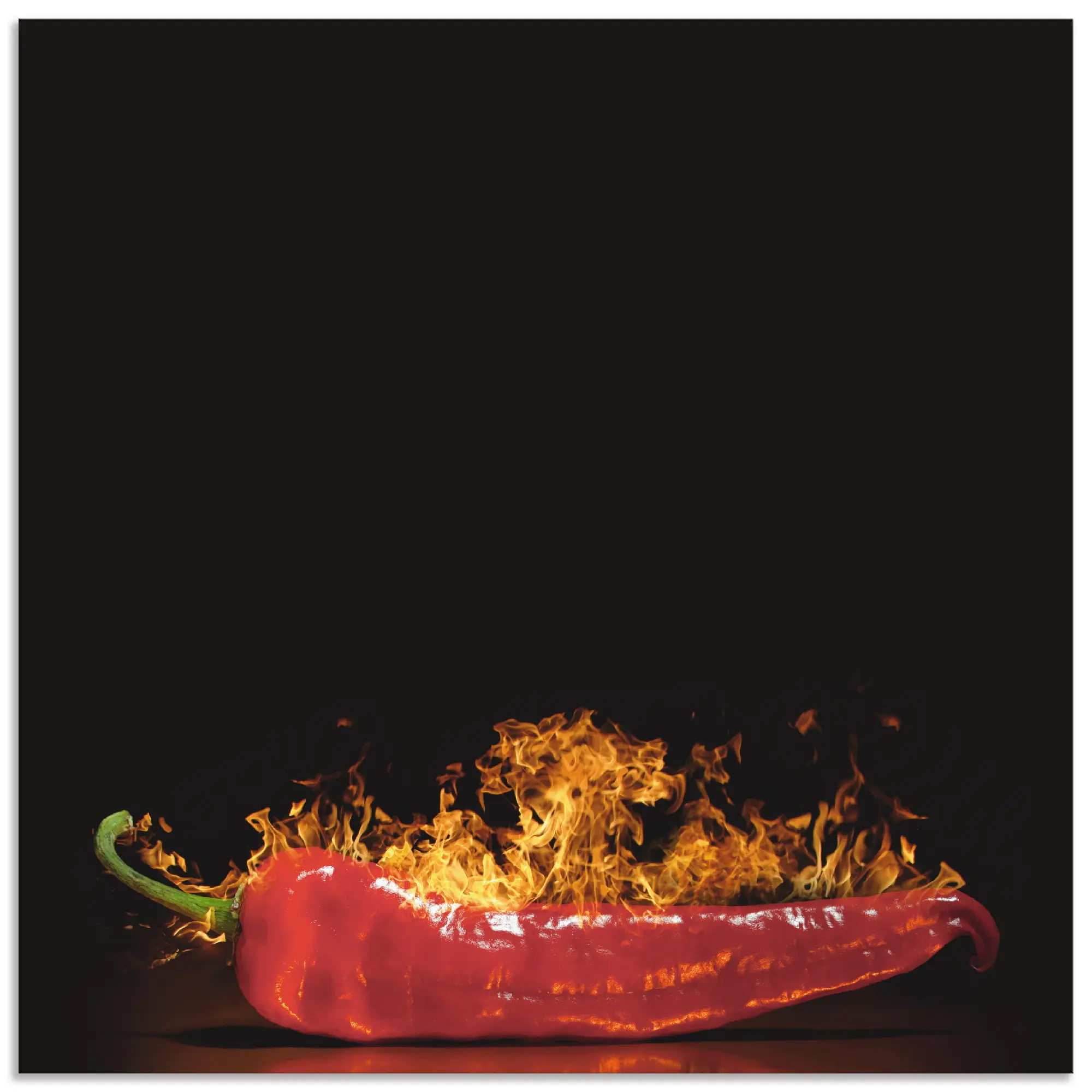 Alu R眉ckwand - Hot Chili