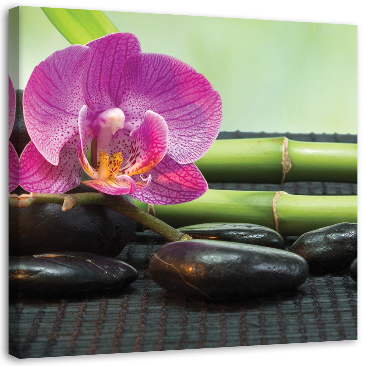 Spa kaufen Leinwandbild Orchidee Blumen home24 Zen |