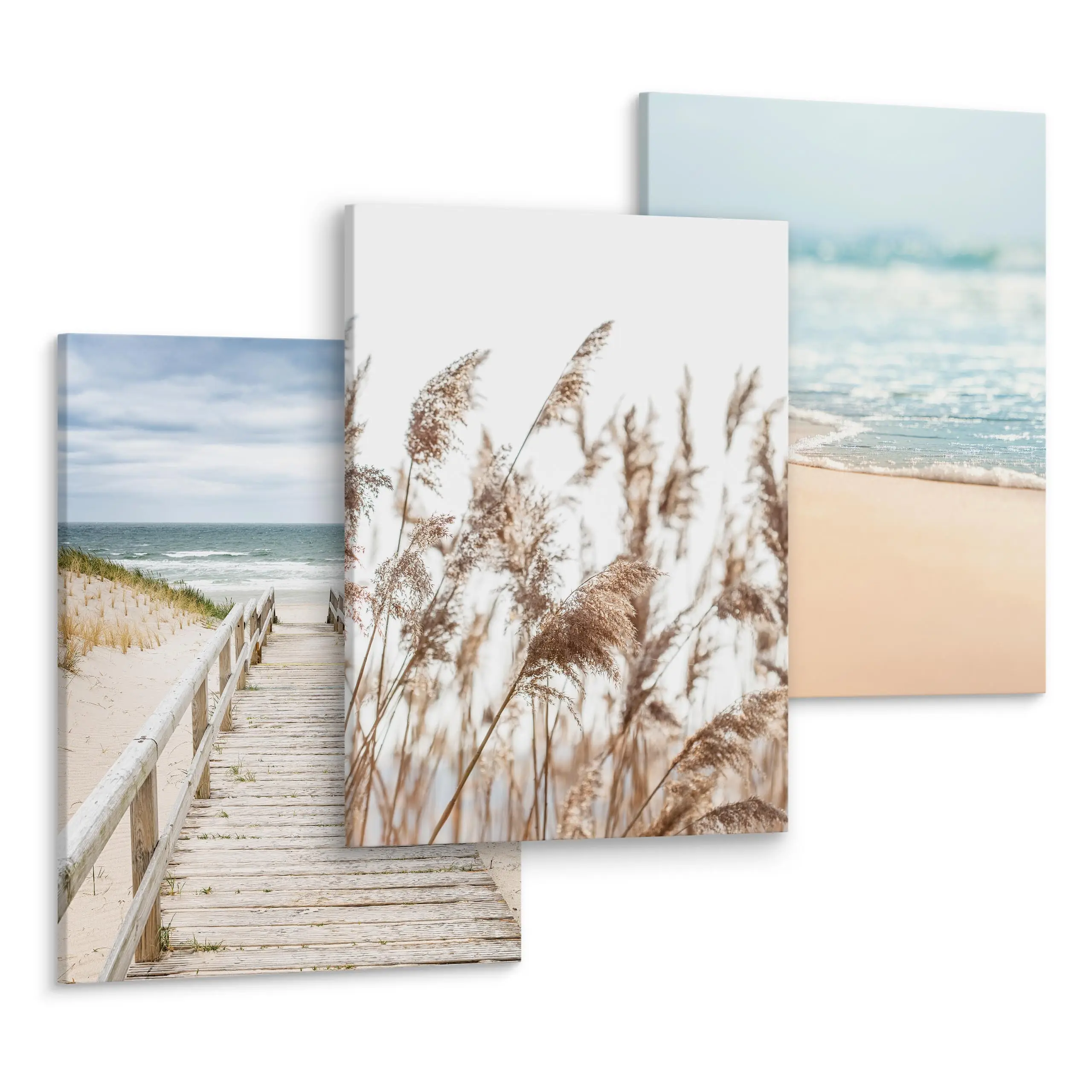 Leinwandbilder Set Strand Meer Pflanzen