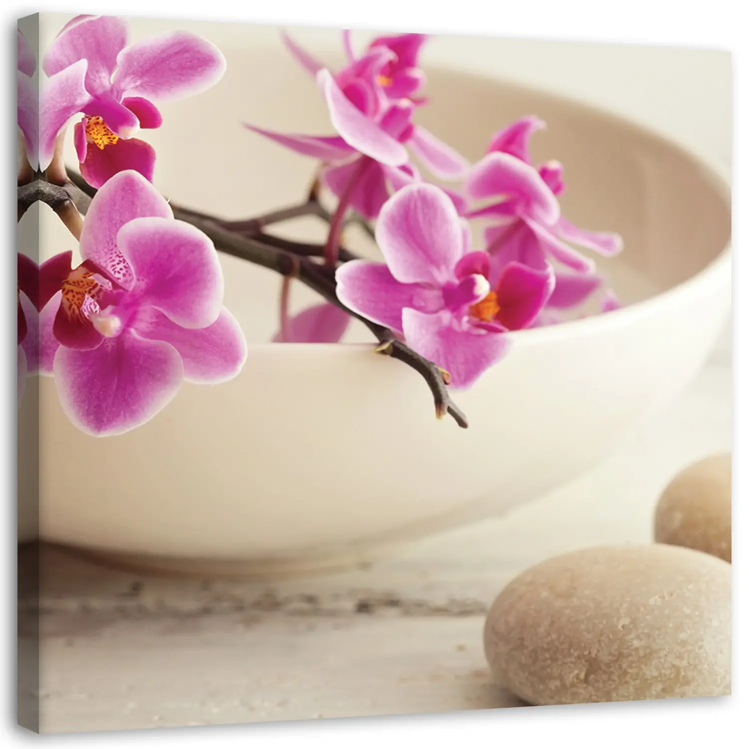 Leinwandbilder Orchidee Rosa Blumen Zen