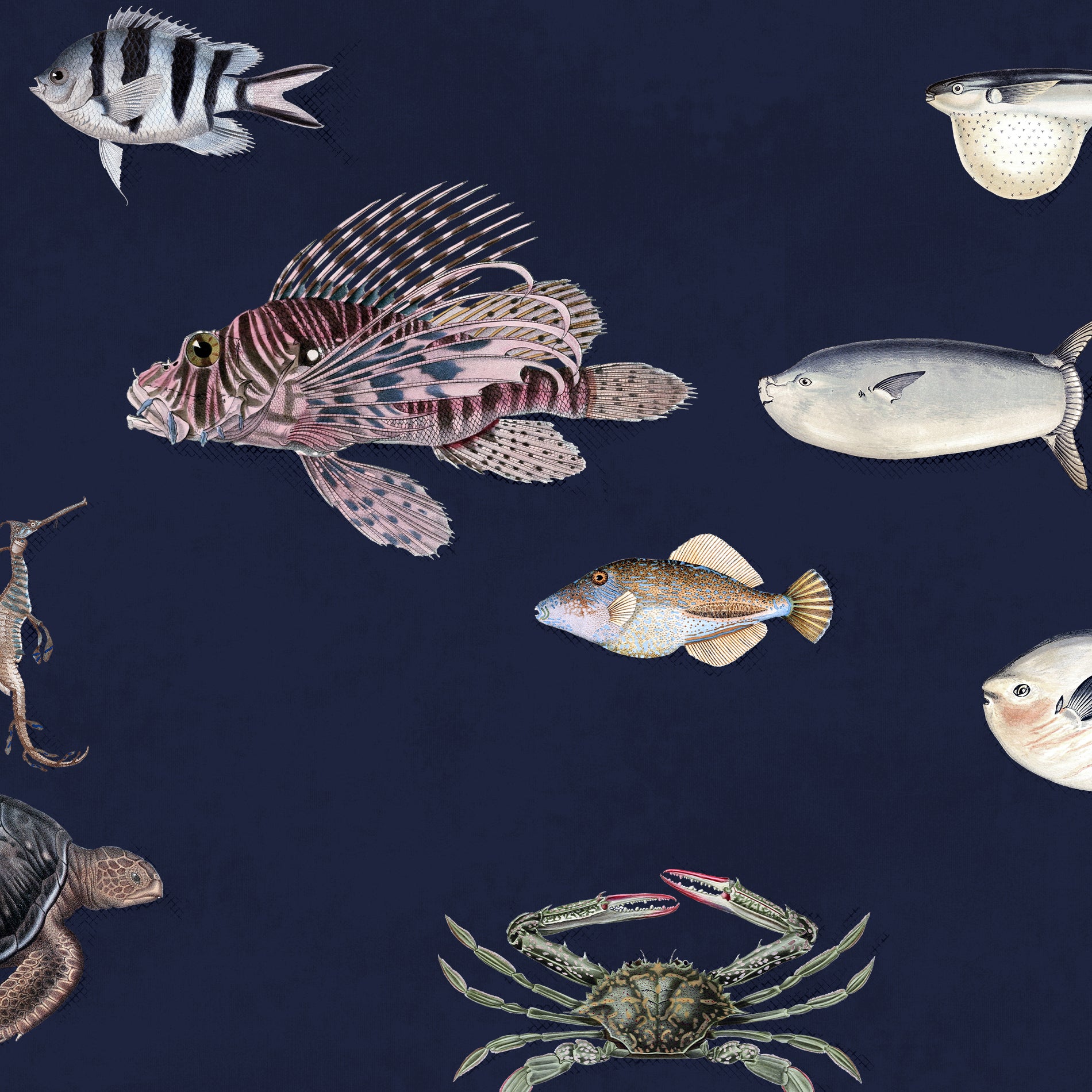 Papier Peint Bleu Poissons Tropicaux | Je commande ! | home24