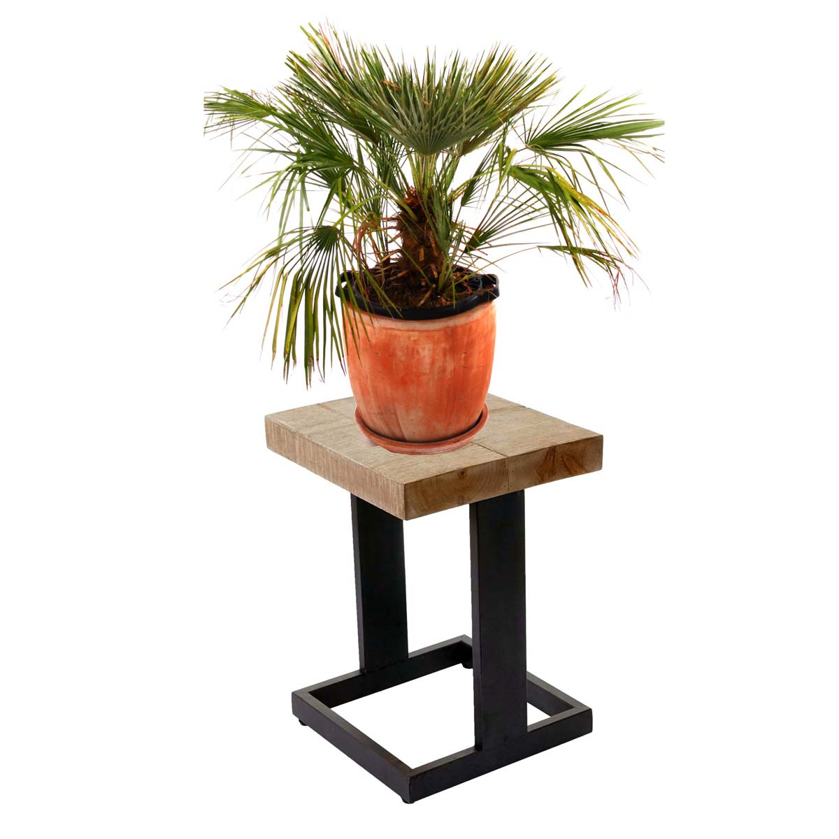 Blumenhocker A15 Tanne Massiv kaufen