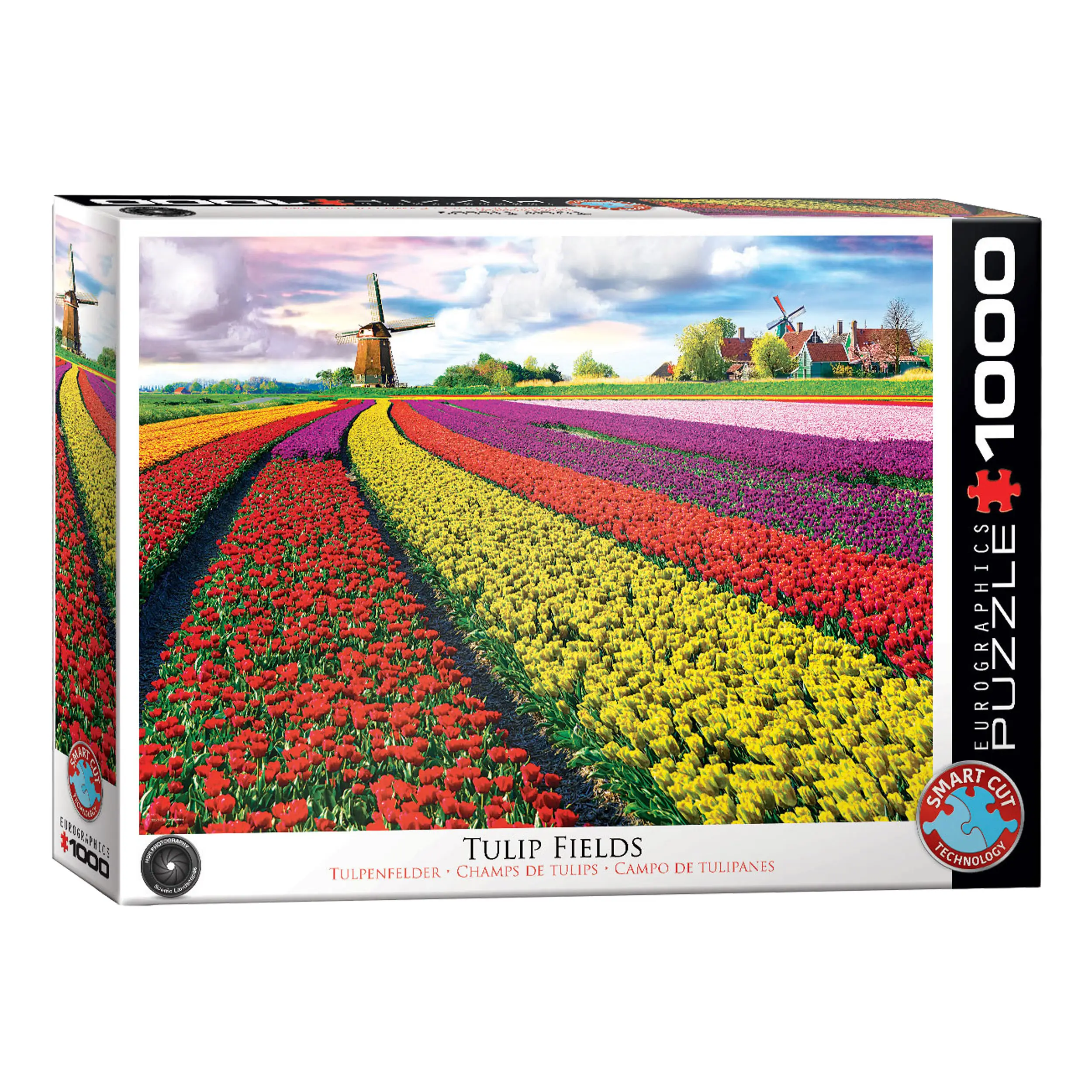 Puzzle Tulpenfelder Niederlande