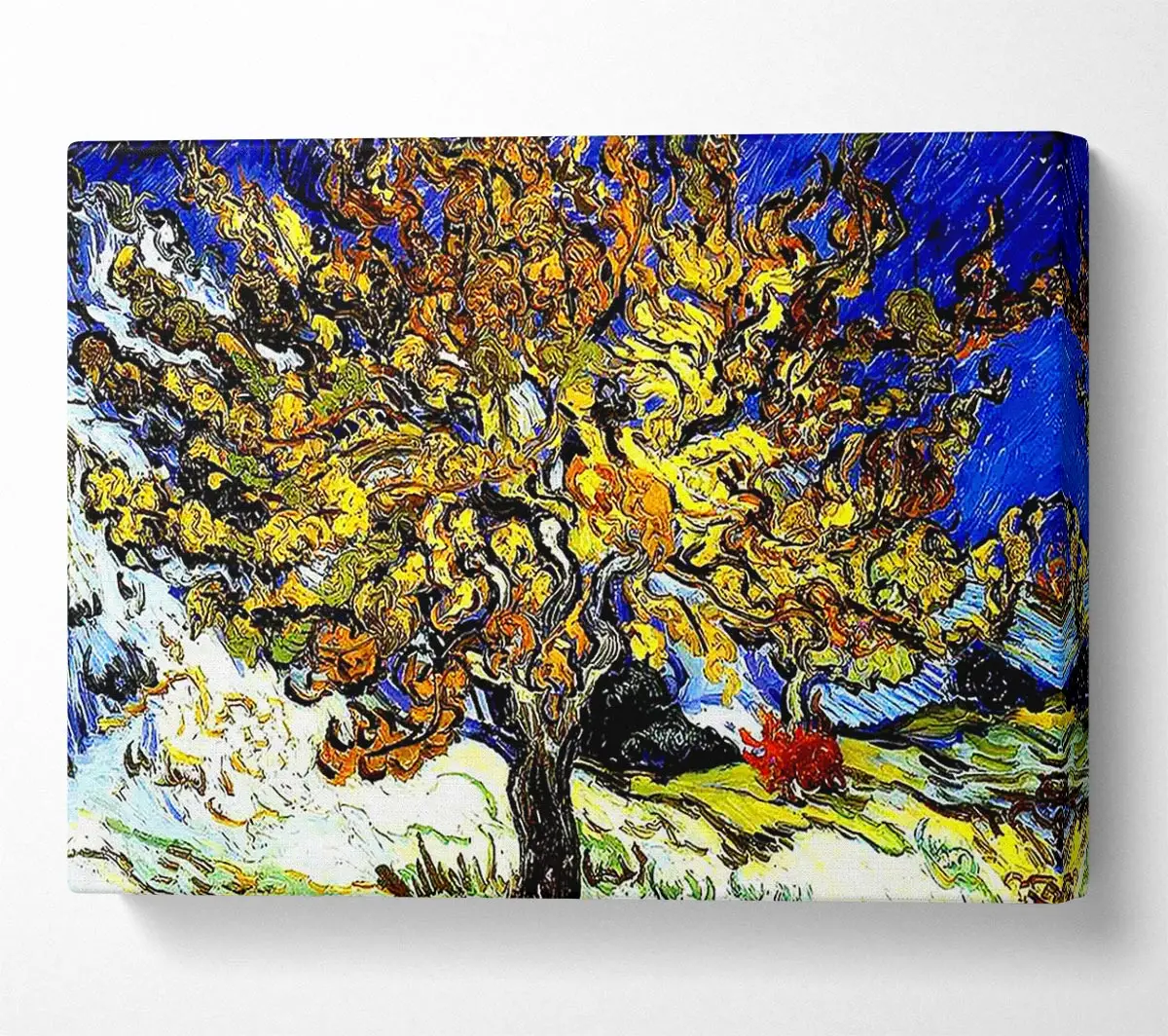 Tree Gogh Vincent Mulberry der van
