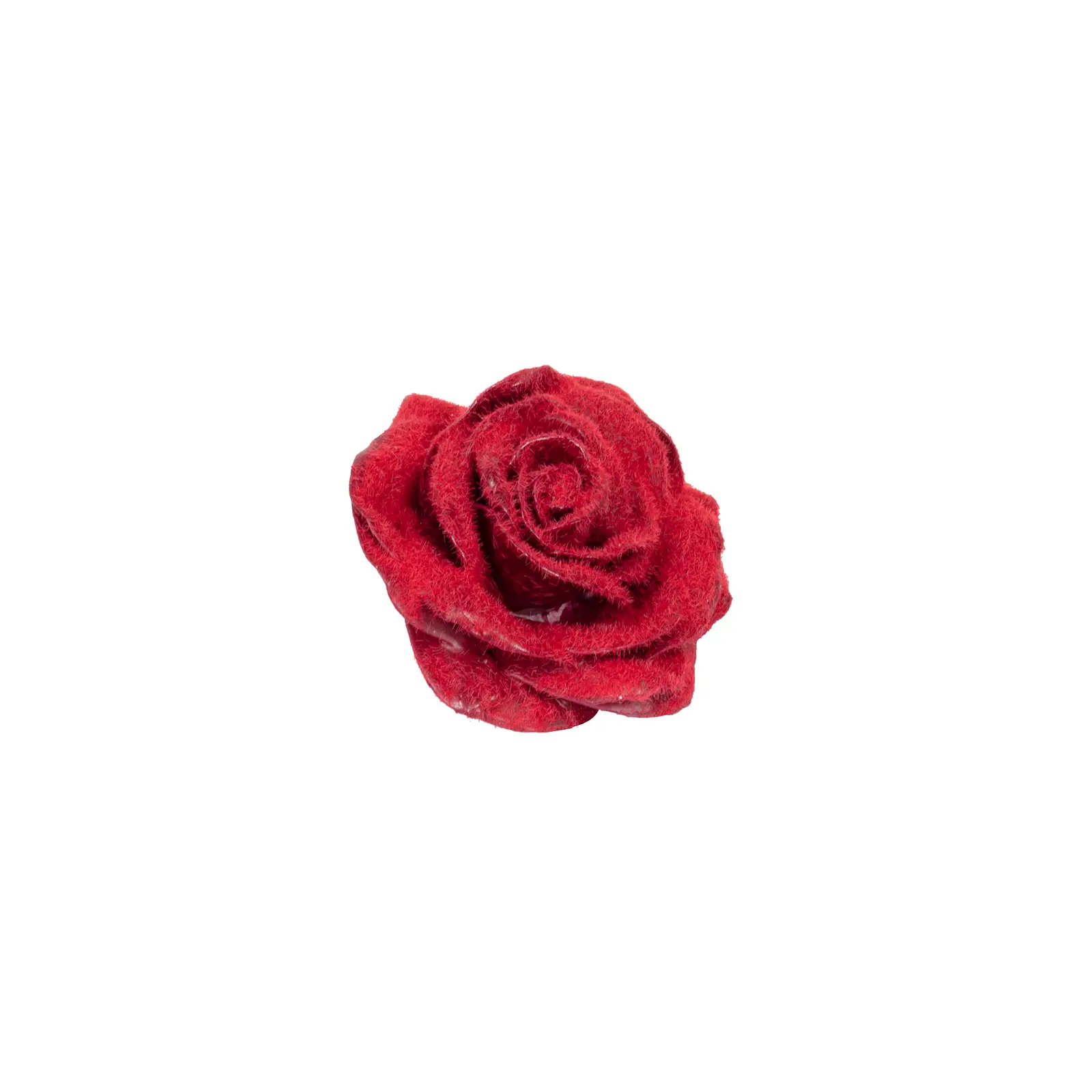 „3 Jahre Garantie“ 10er-Set Wachsrose Bordeaux Velvet - Red