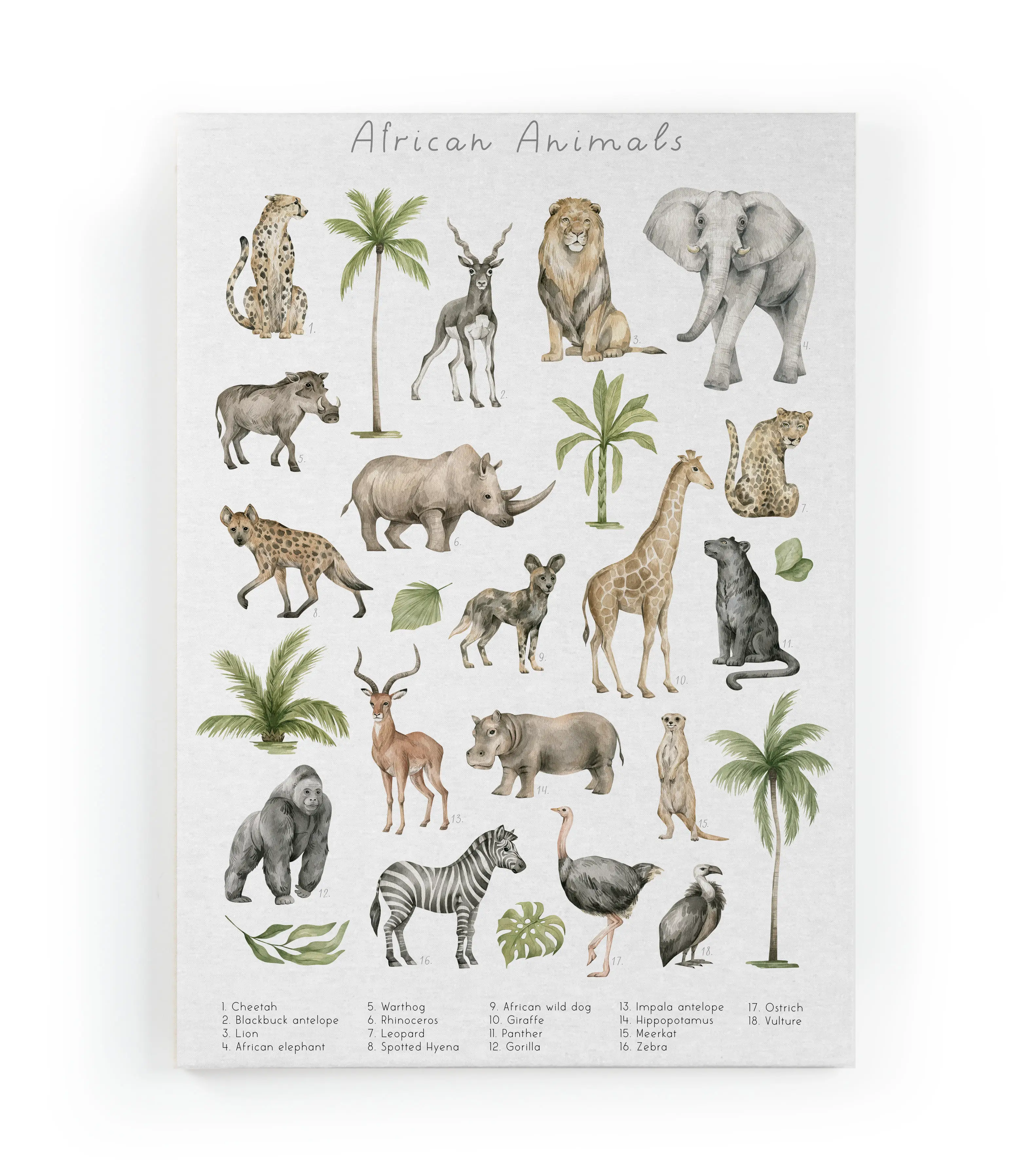 60x40 Leinwand Afrikanische Tiere