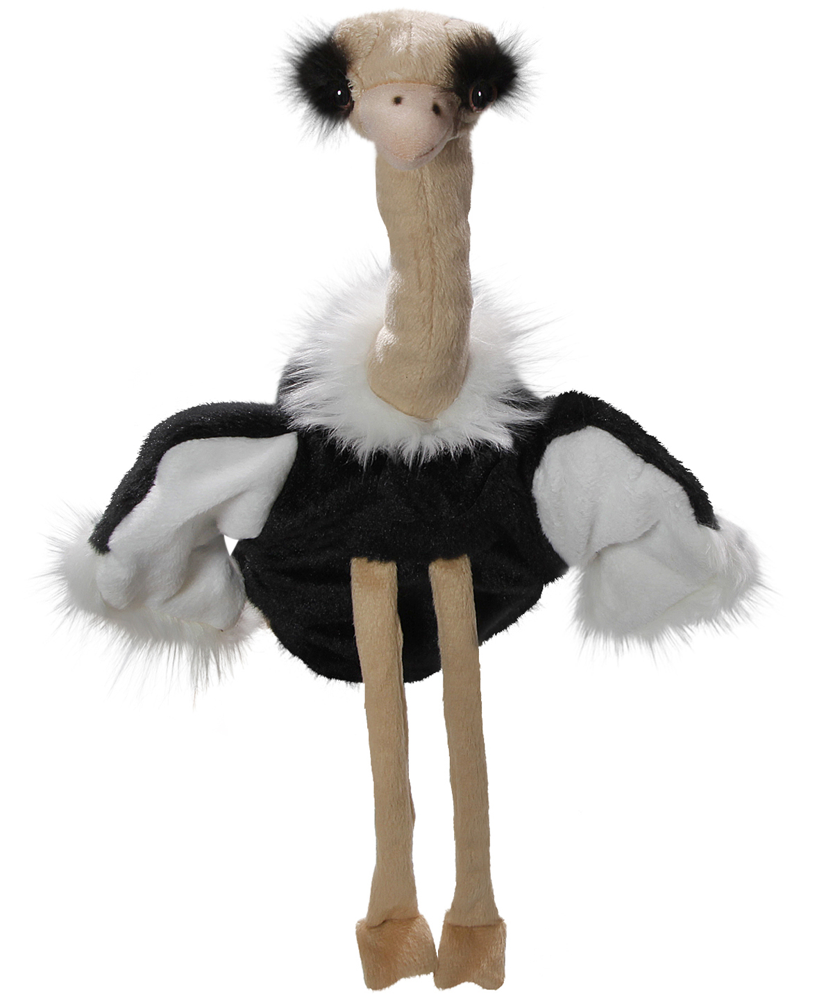 Vogel Strauß Kaufen